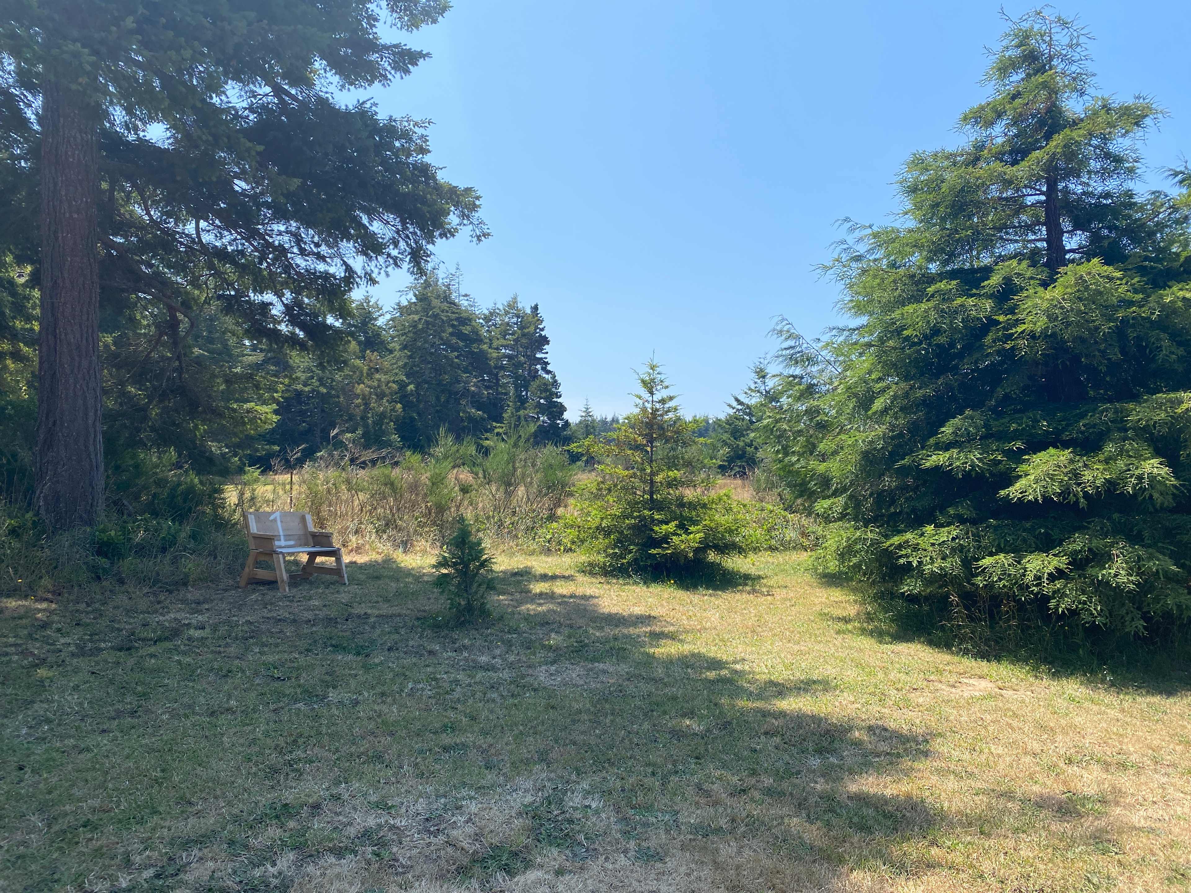 Lost Valley Van Camp - Site 1