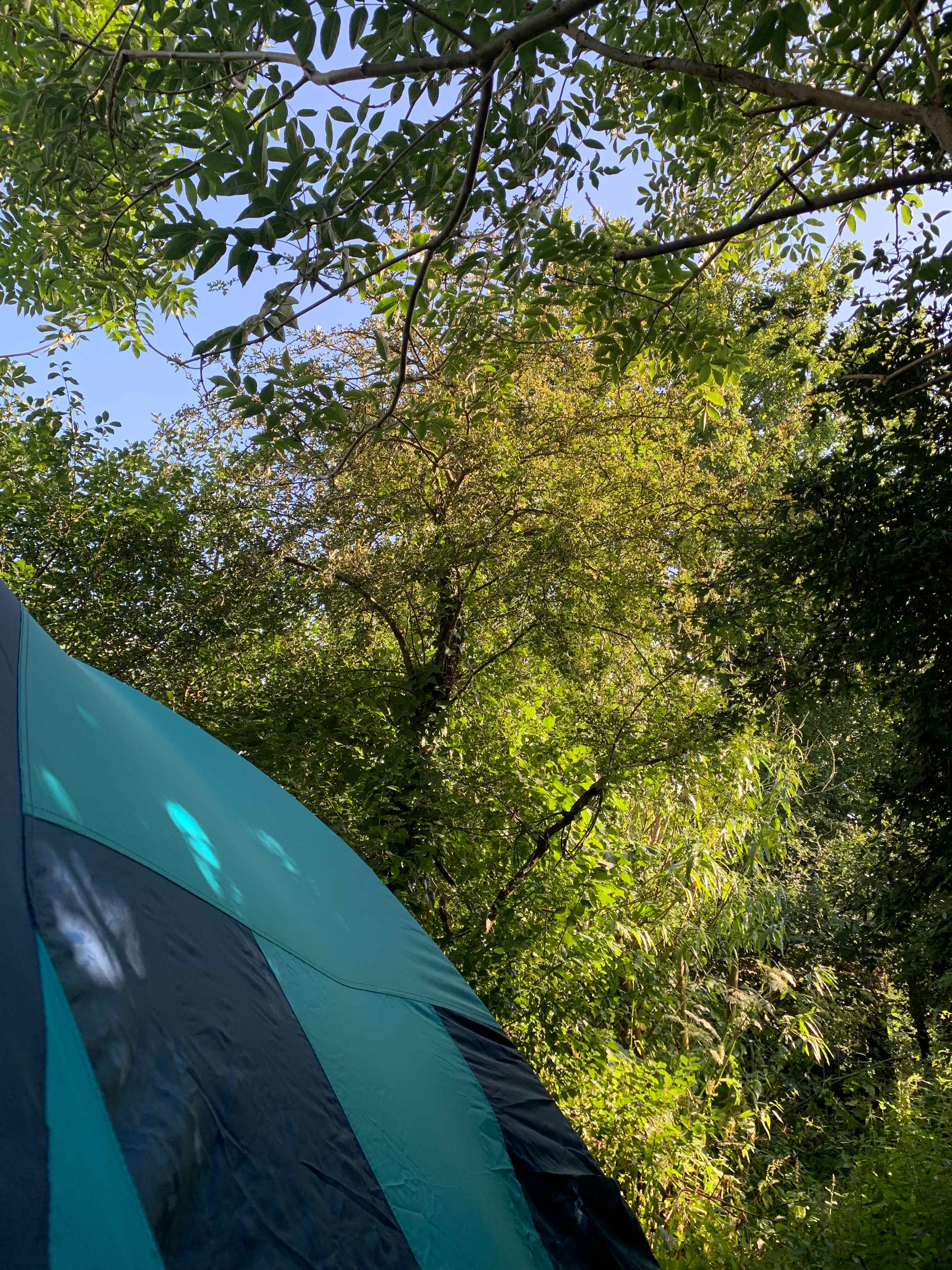 Forest Garden Camp Spot Cardiff