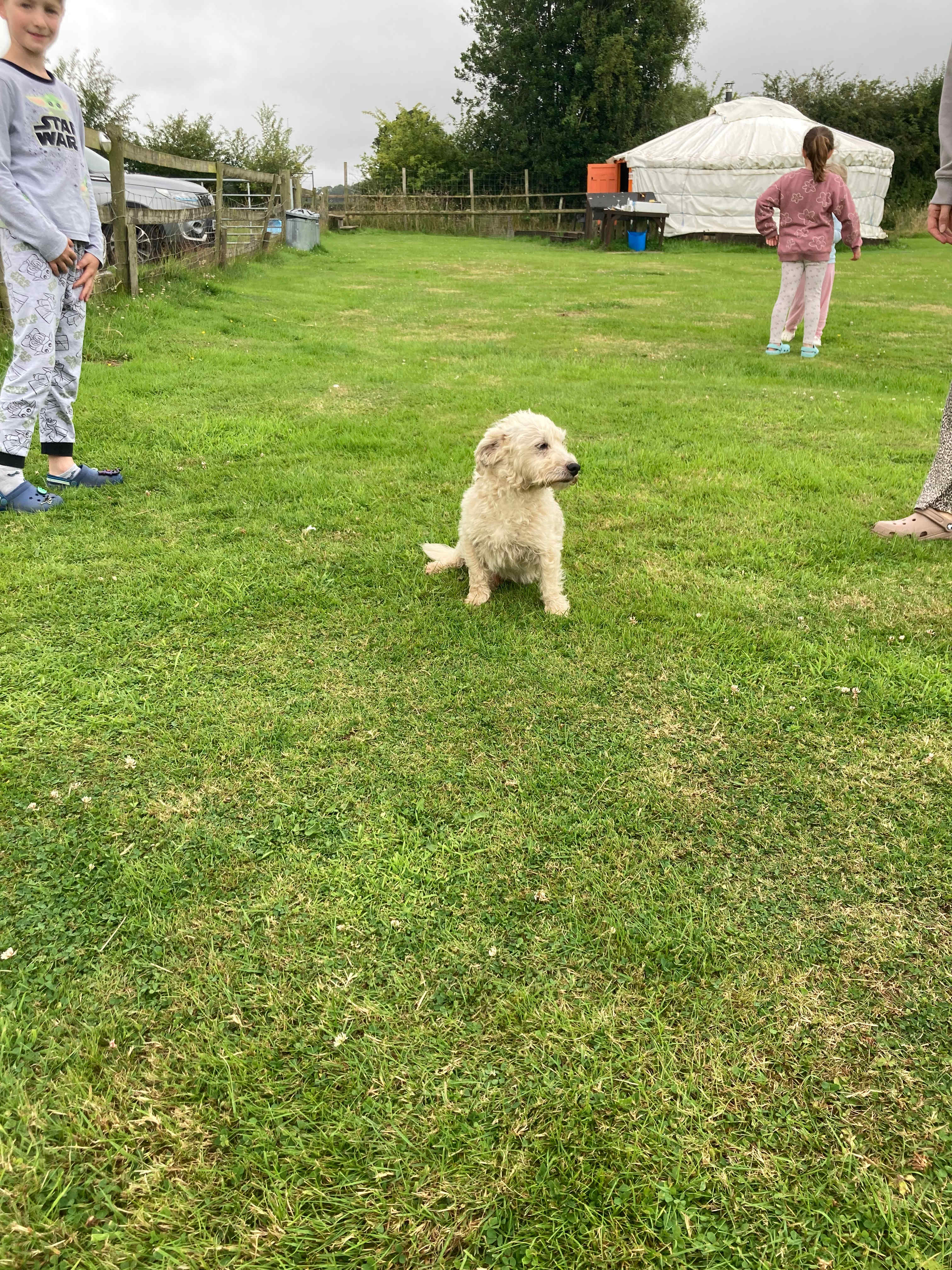 Alfie