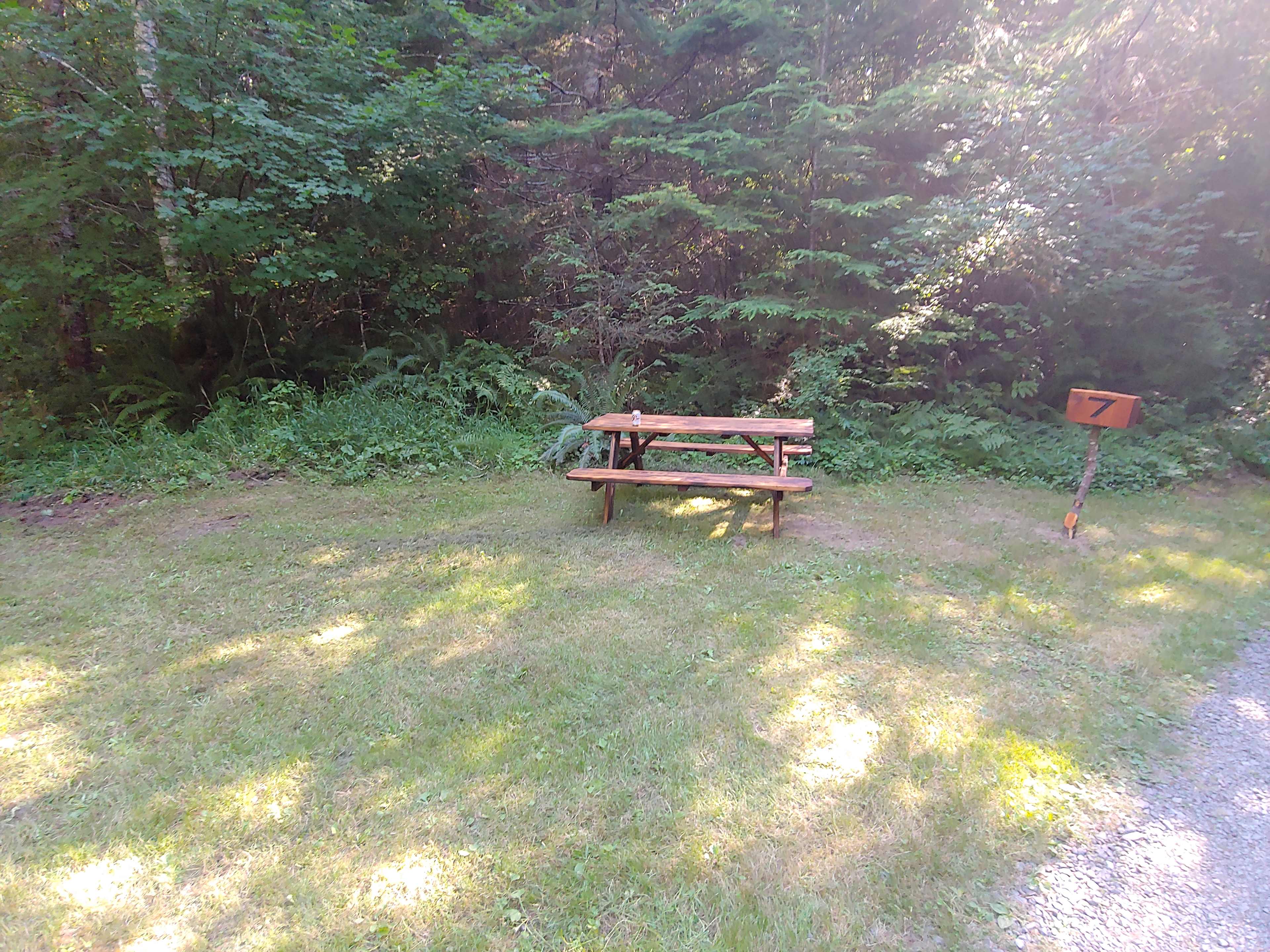 Picture of the site