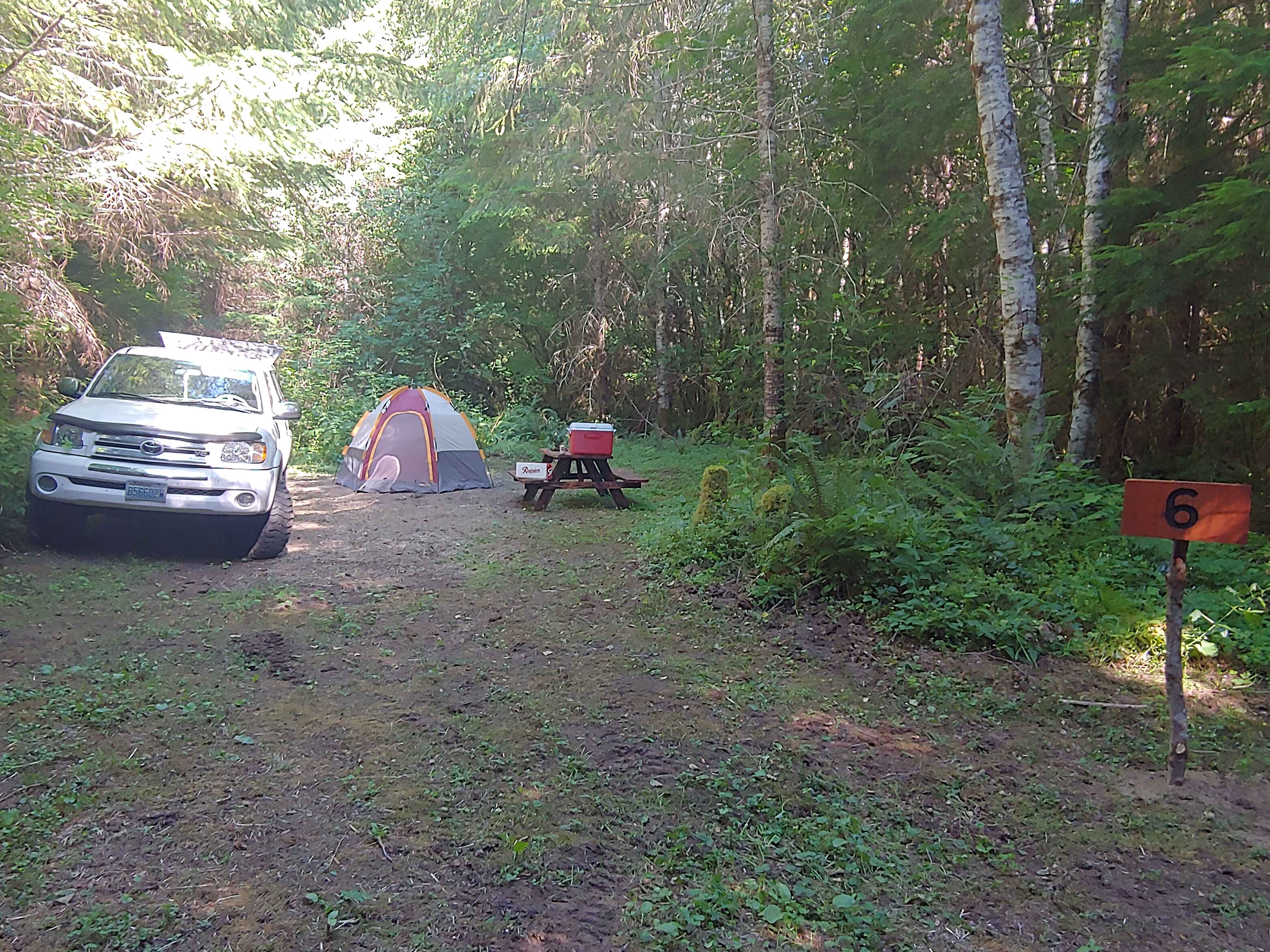 Picture of the site
