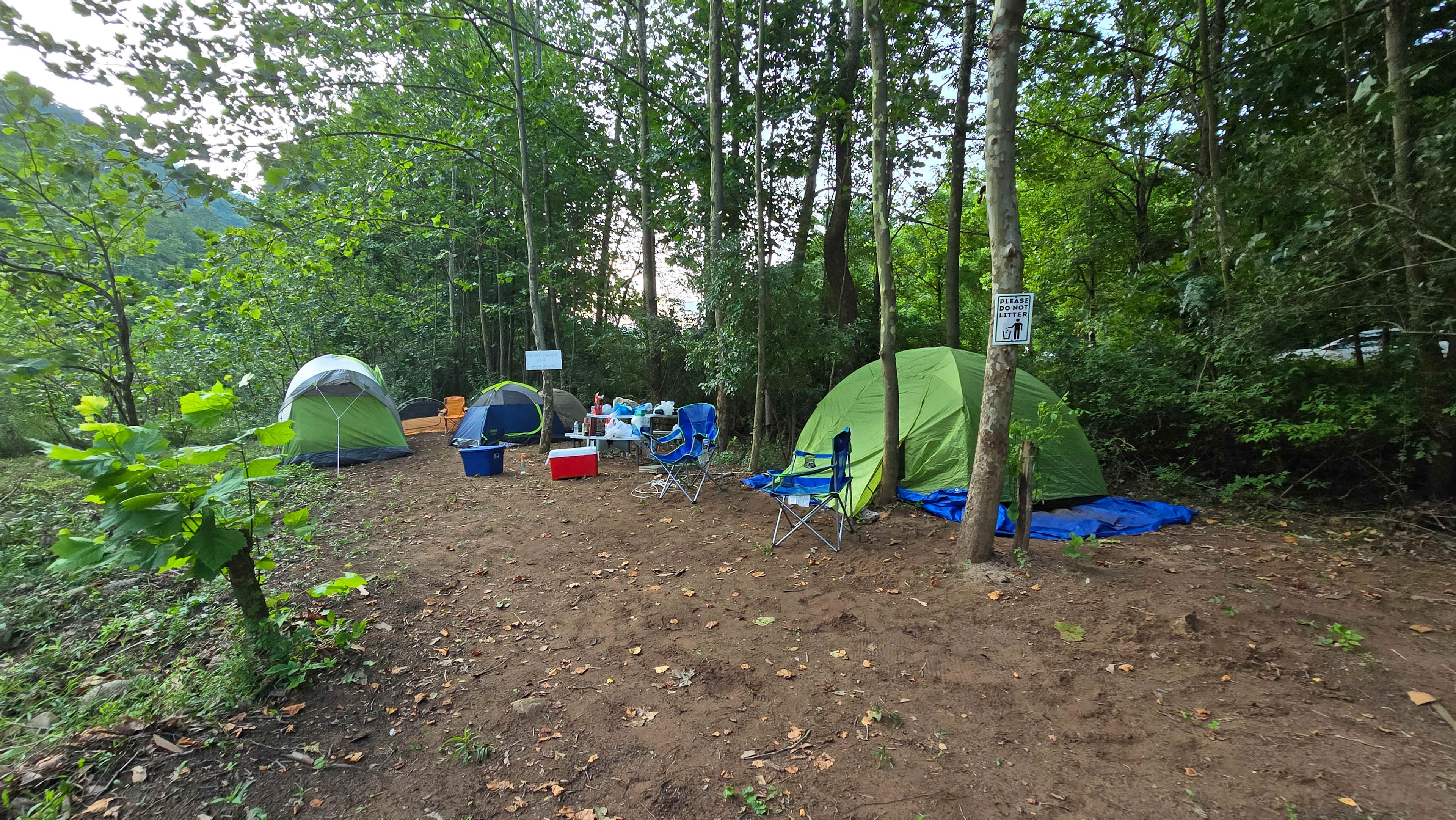 Picture of the site
