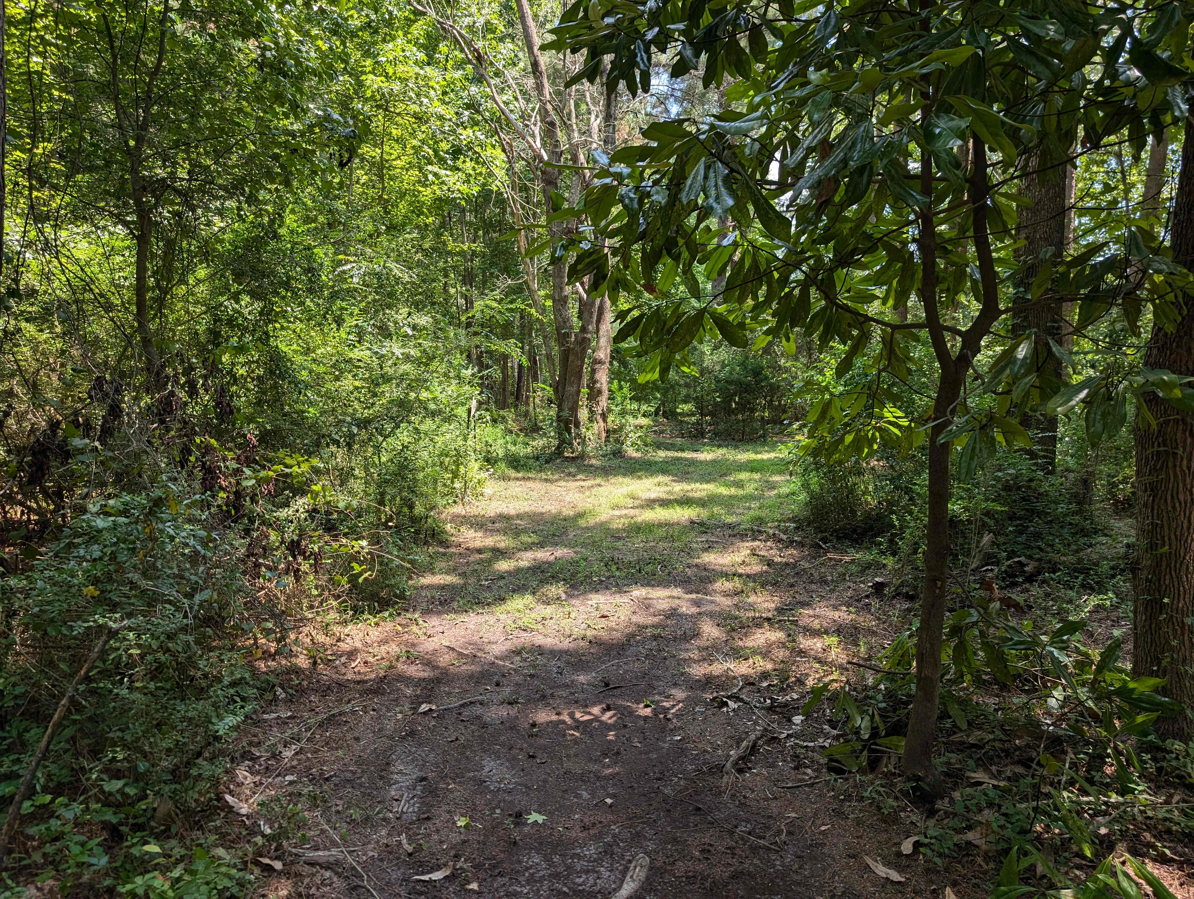 The Mill Creek Spread