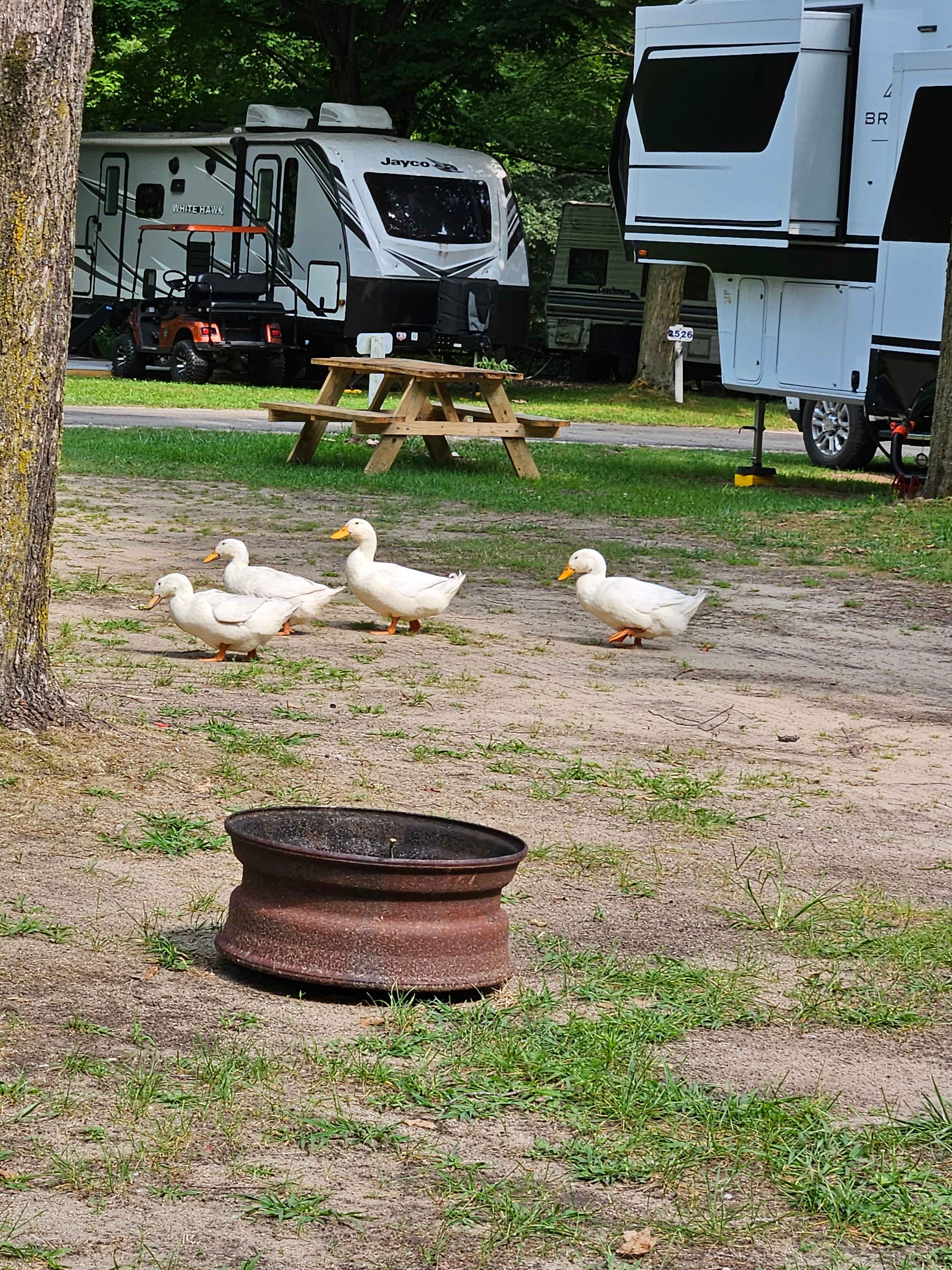 They went from a few camp sites for food!!