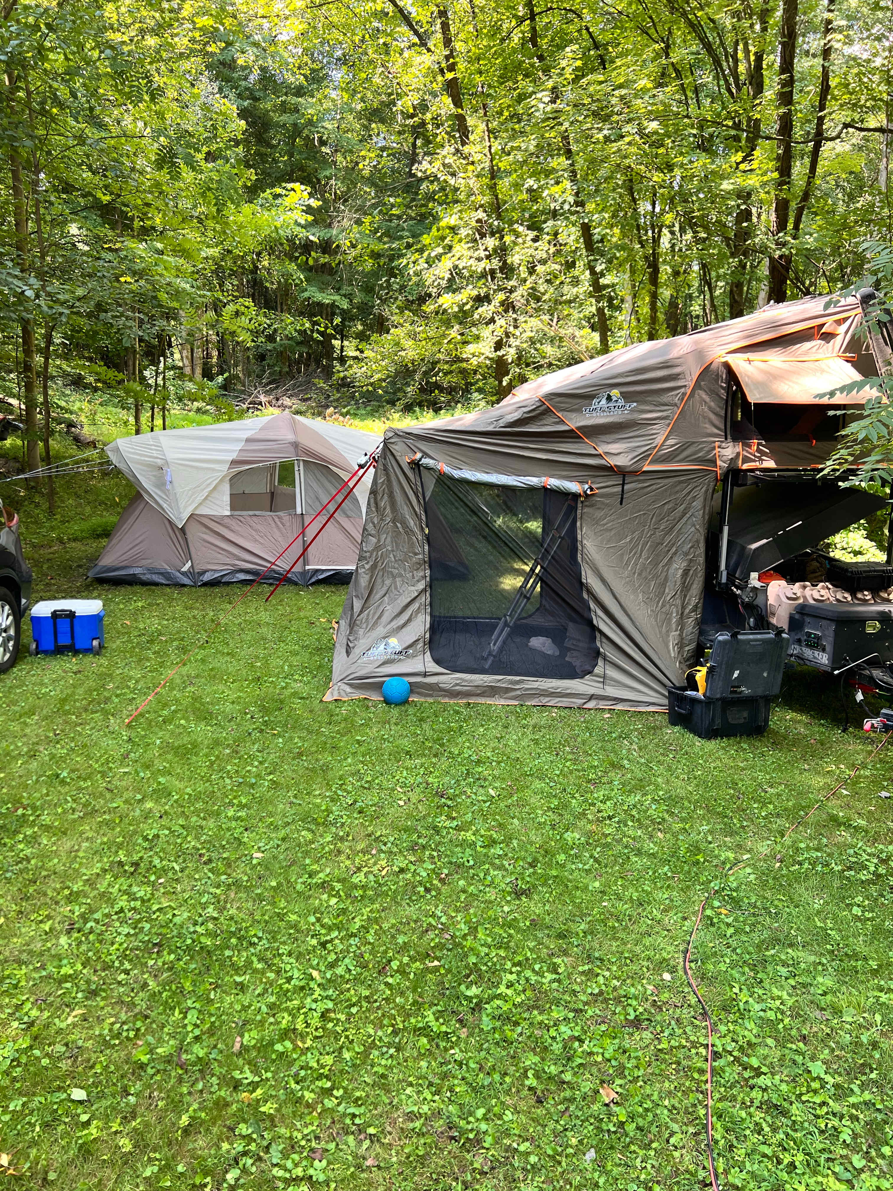 Picture of the site