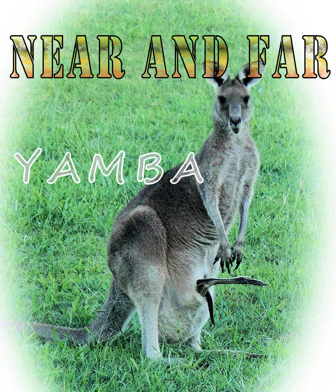 Near and Far Yamba