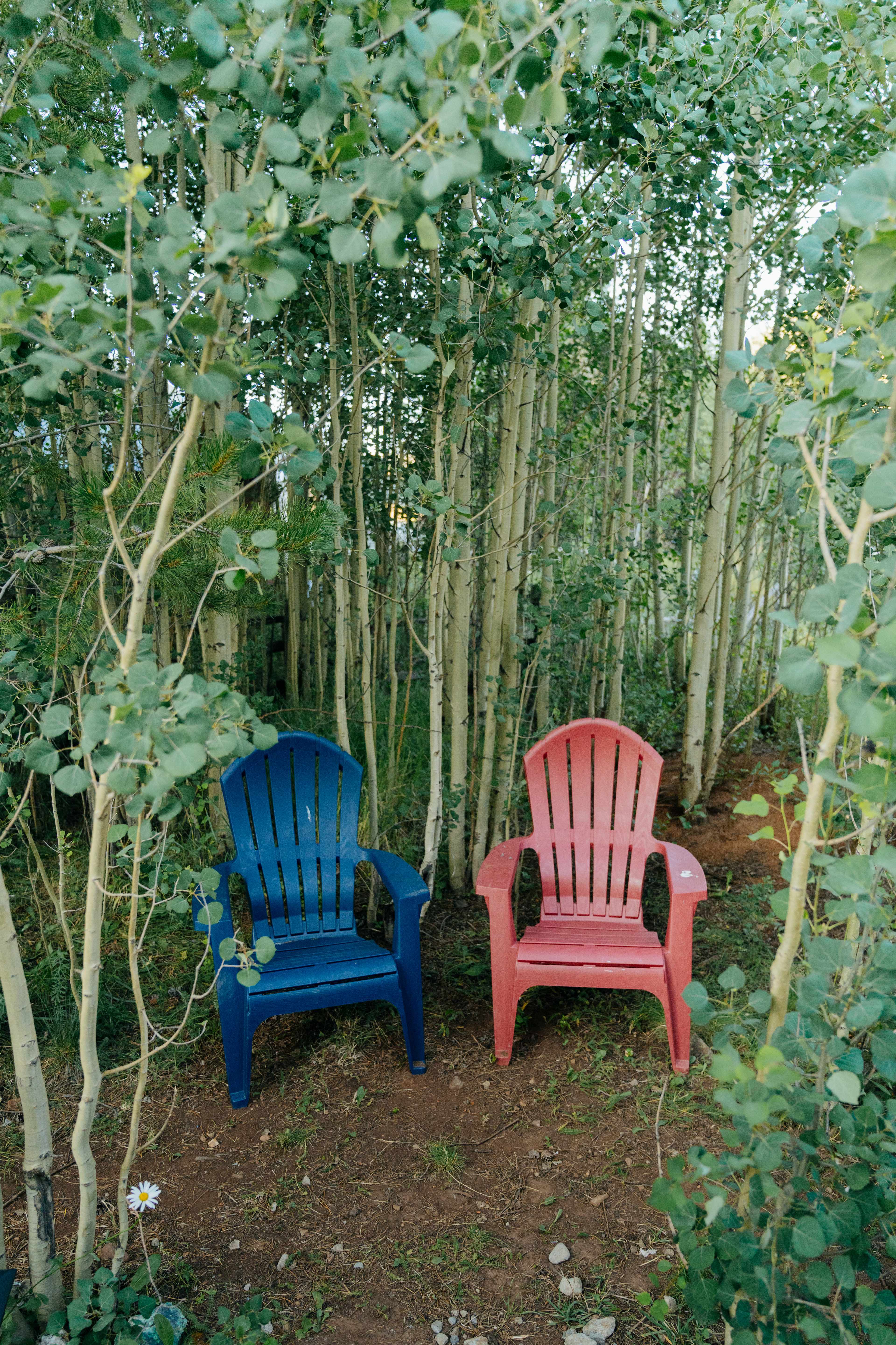 The Aspen Camp
