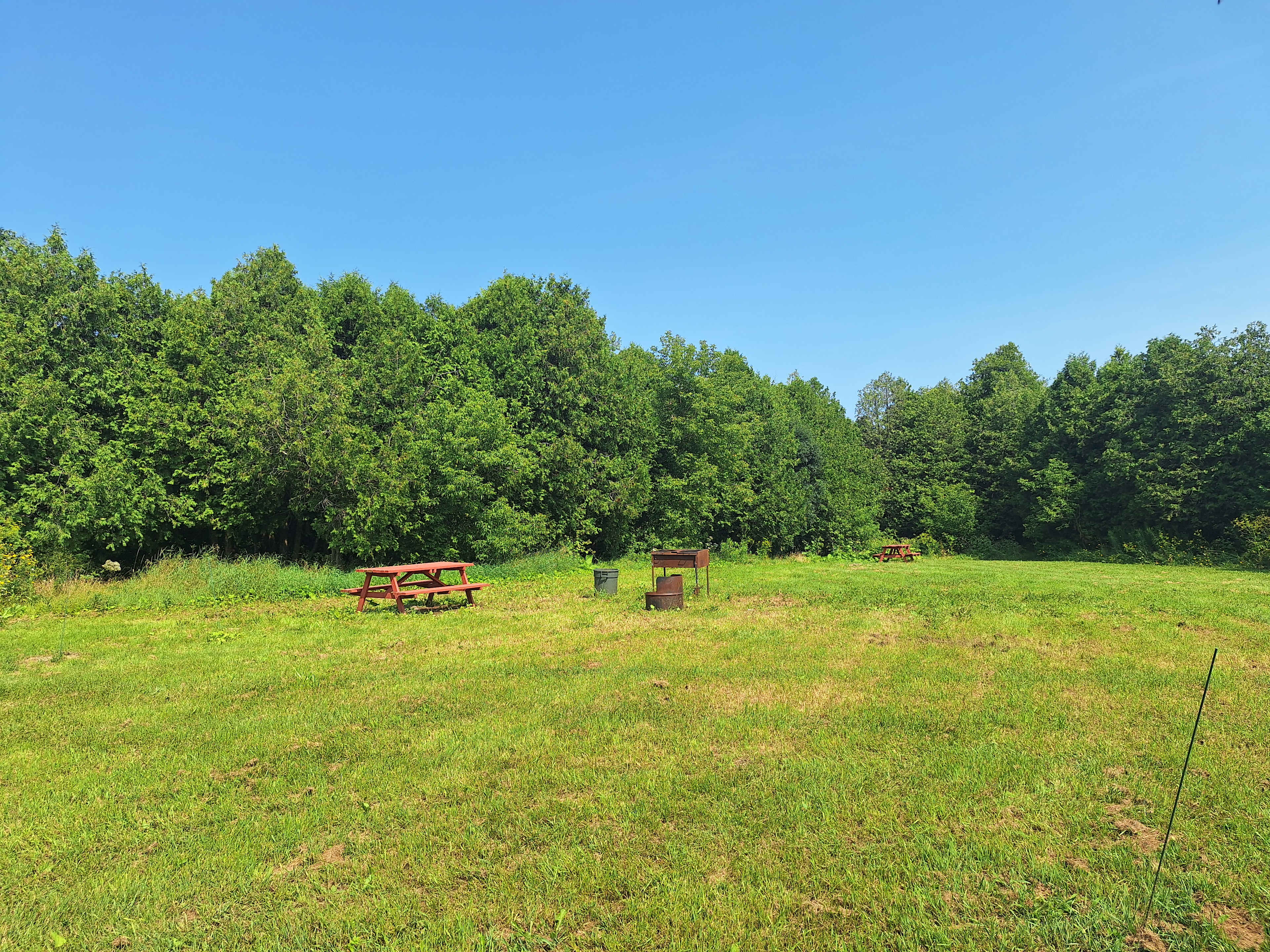 Picture of the site
