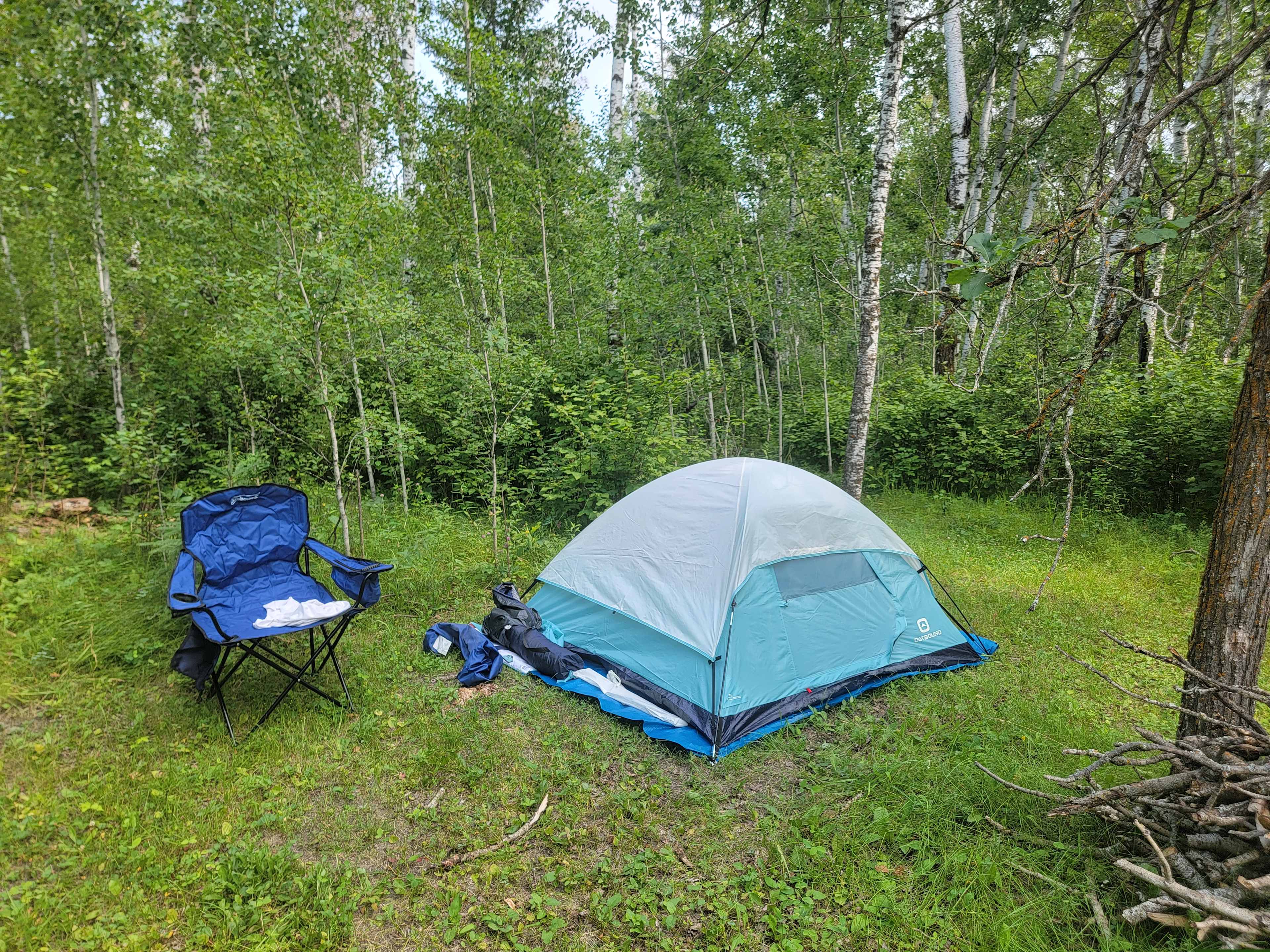Bonnetts Boreal Forrest