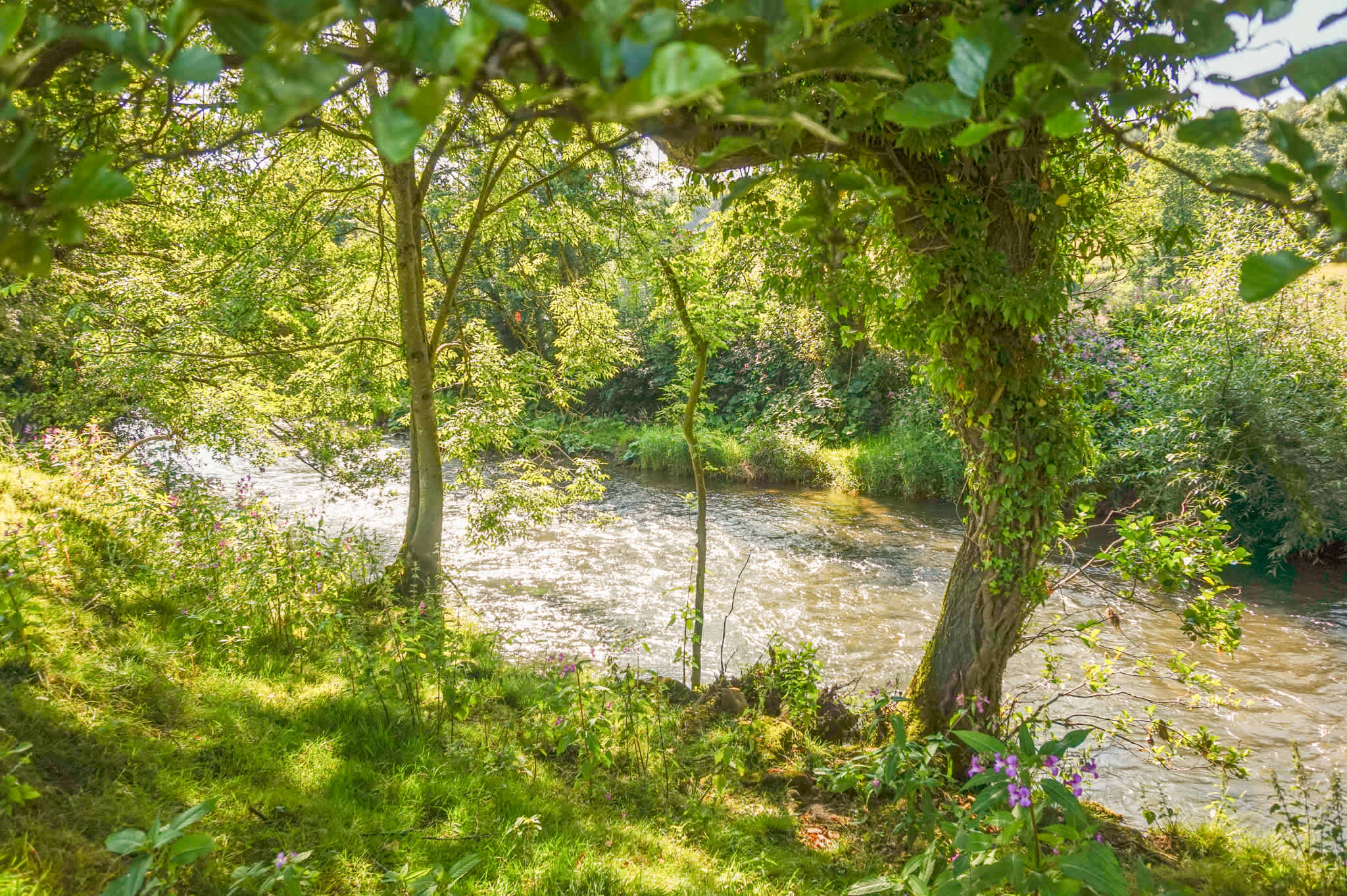 The River Dove was on our site's doorstep