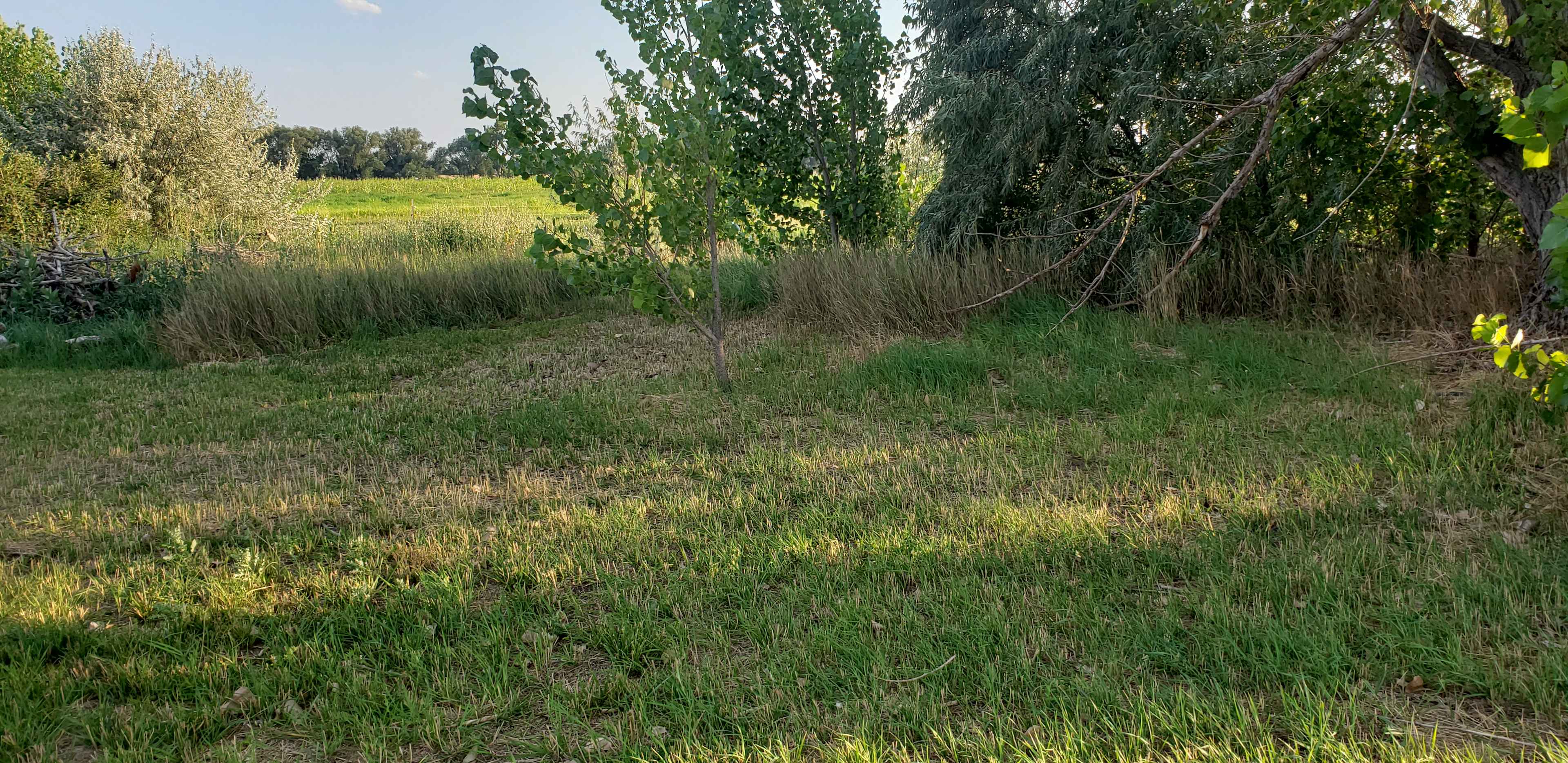 Montgomery Homestead