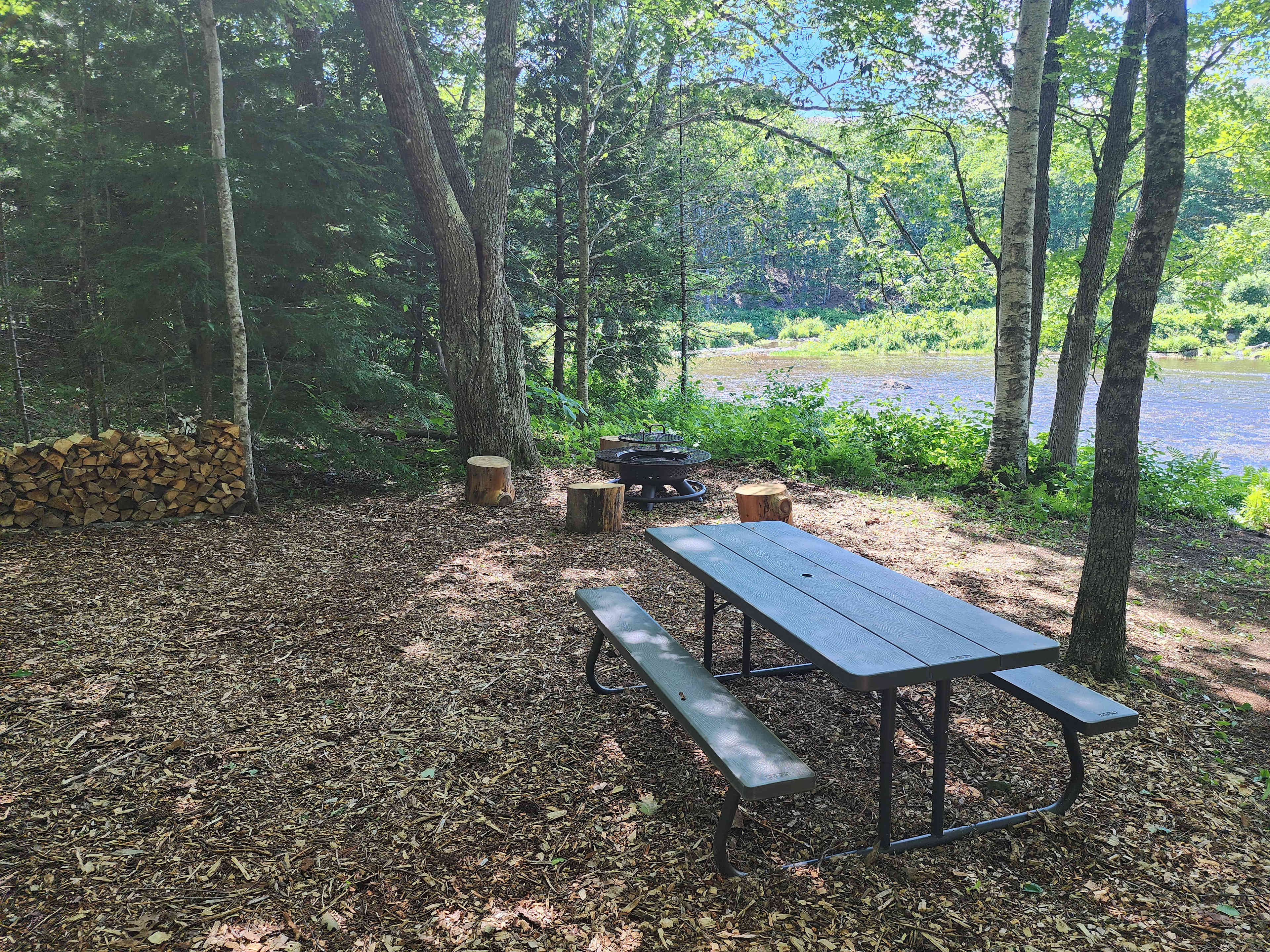 Picture of the site