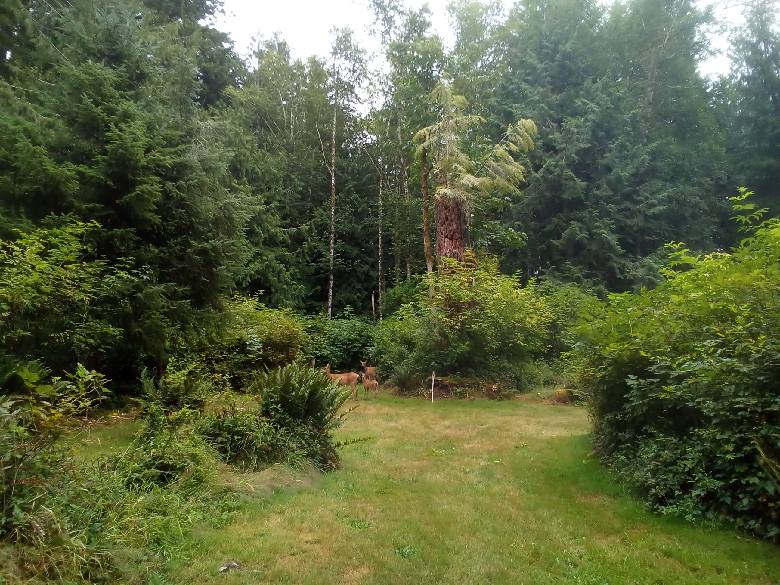 Mile Post 47