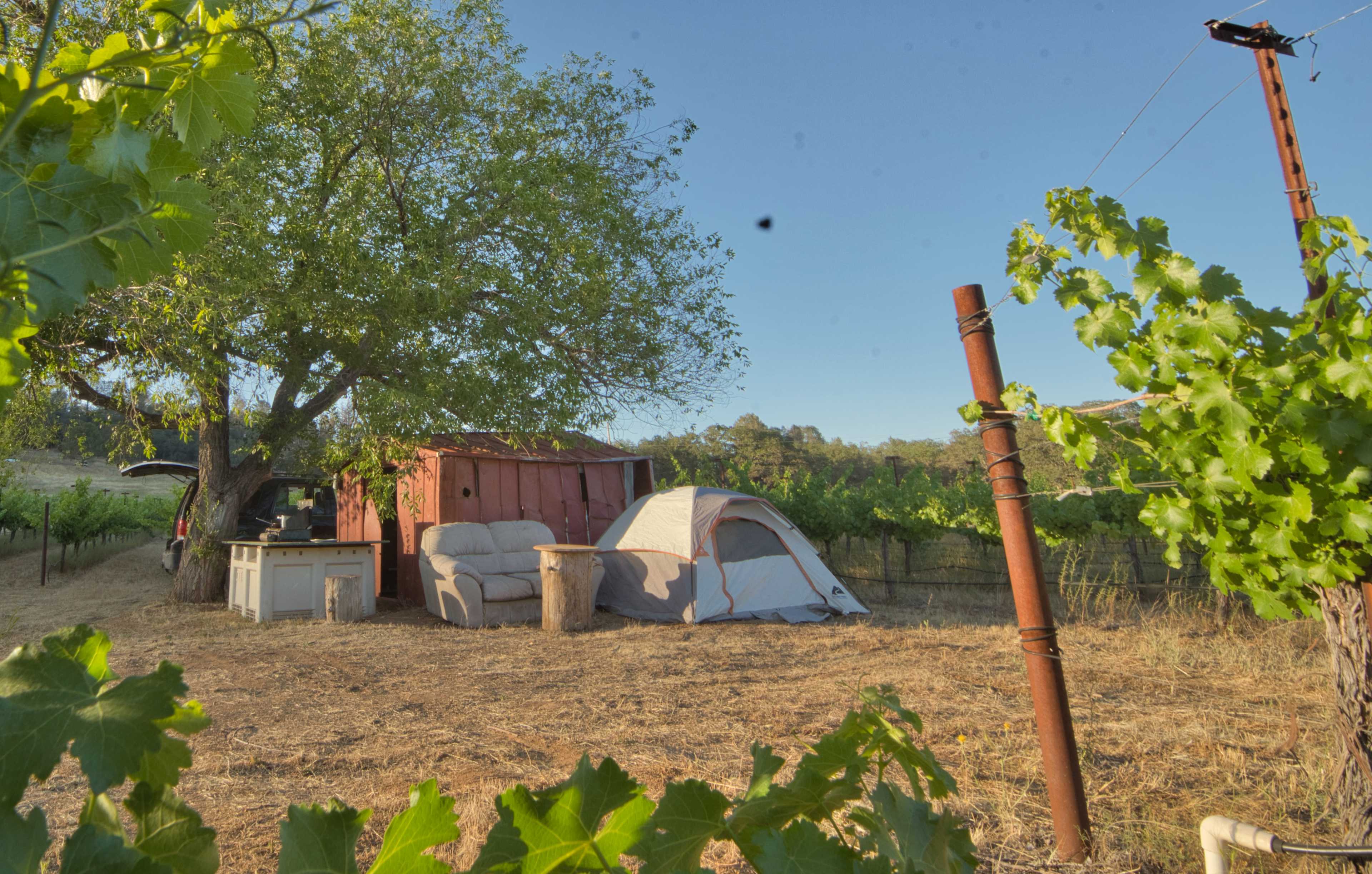 Vineyard Camping at Bad Rat Ranch