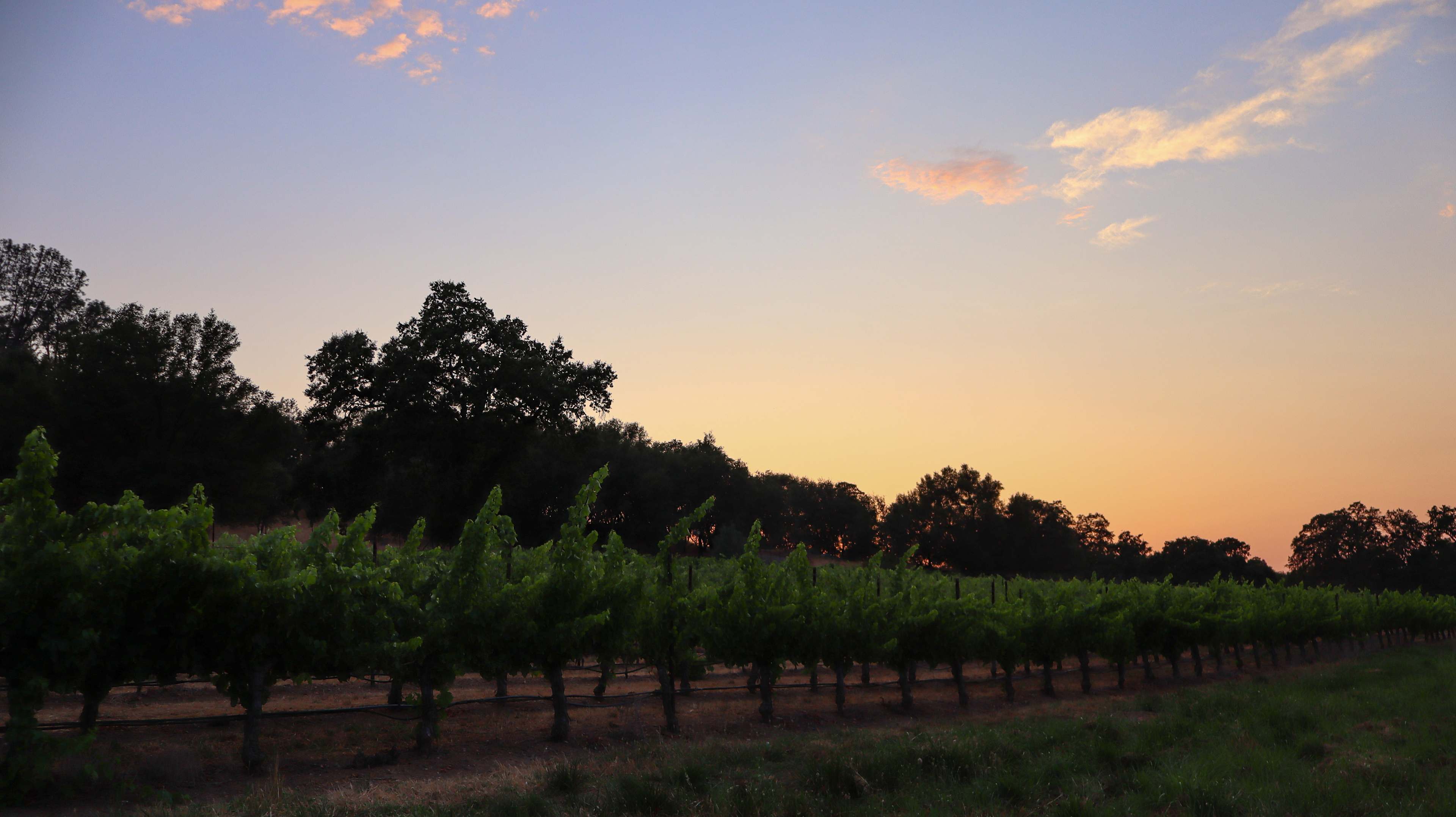 Prospect 772 Winery & Event Center