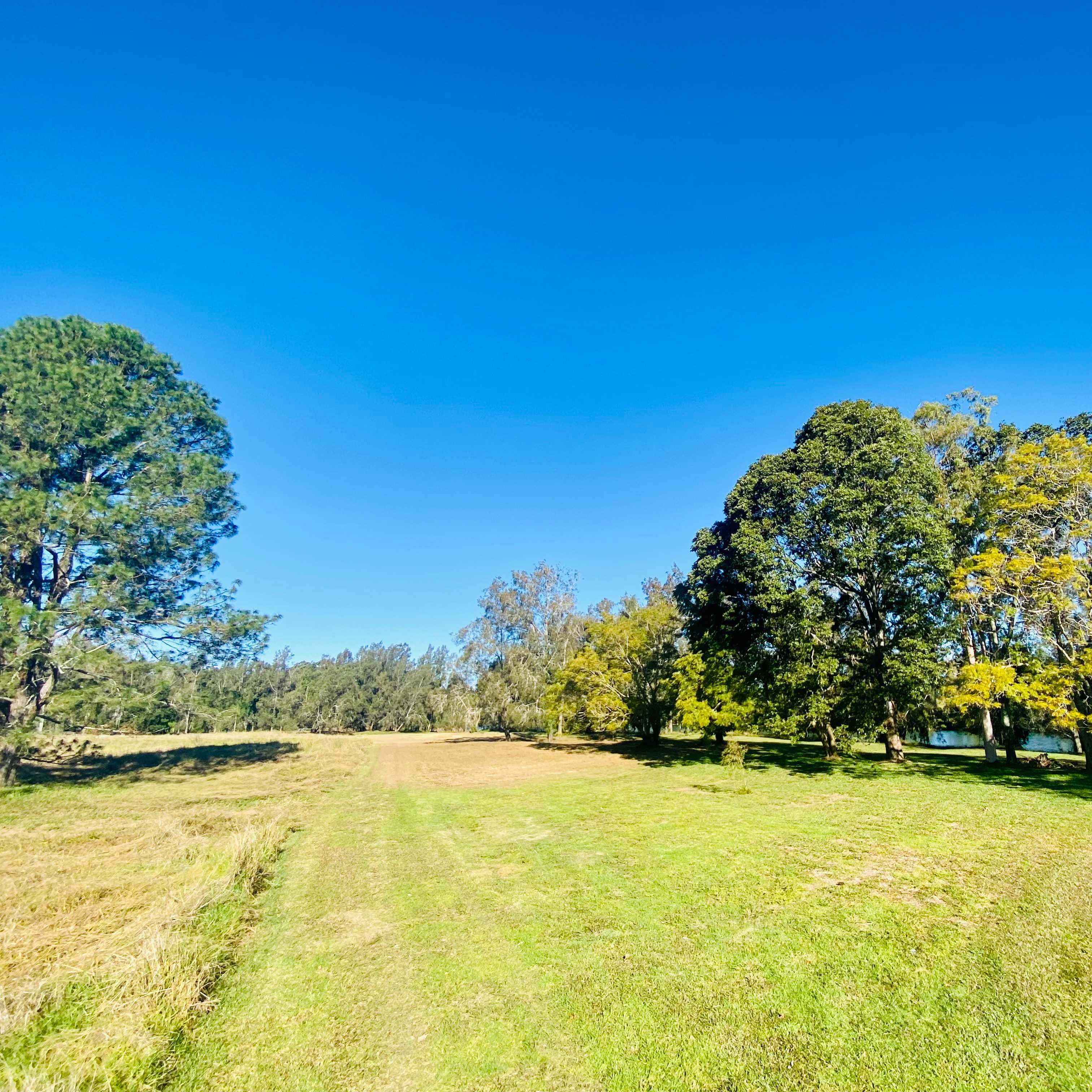 Riverlea Green,  Nambucca Valley