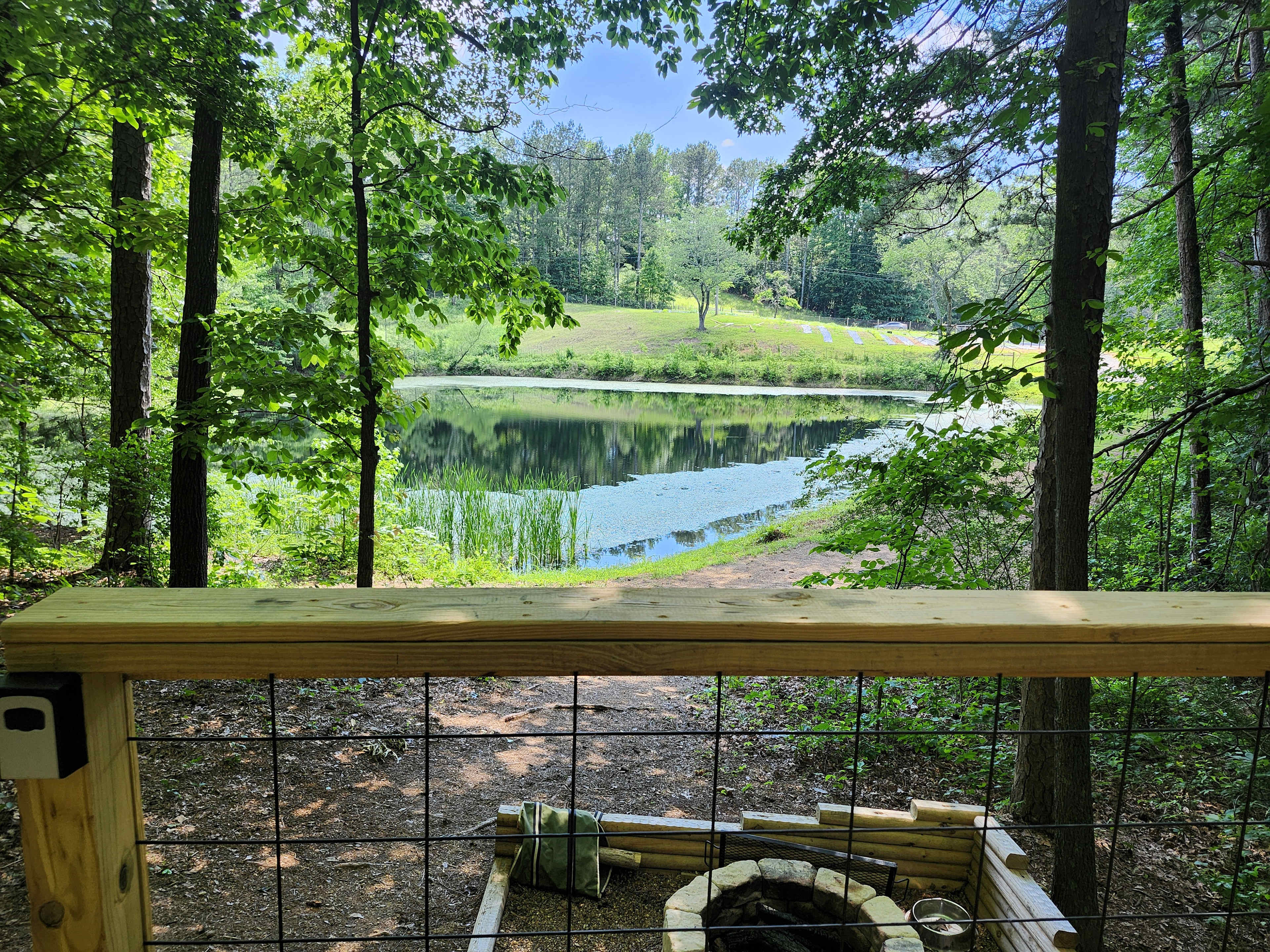Picture of the site