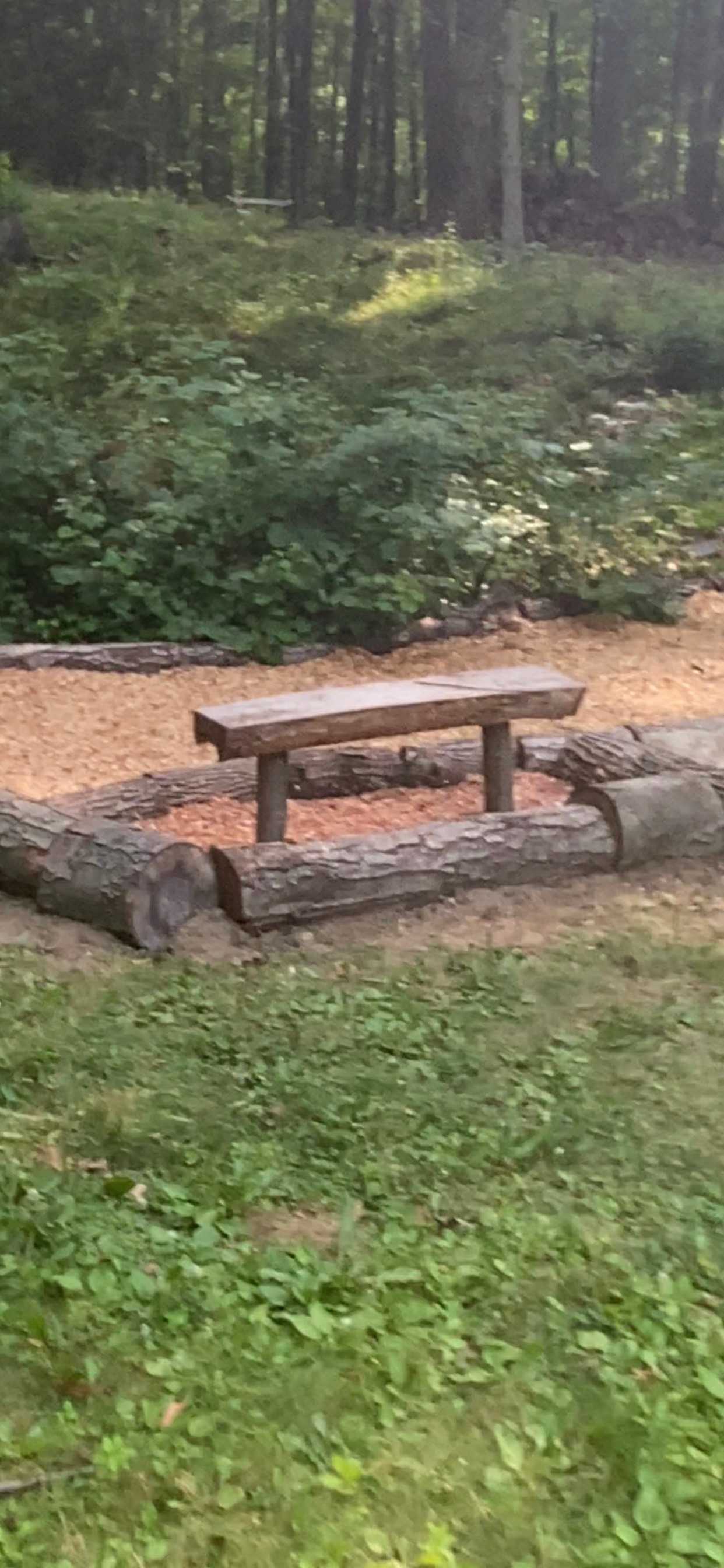 Forest Treasure Island