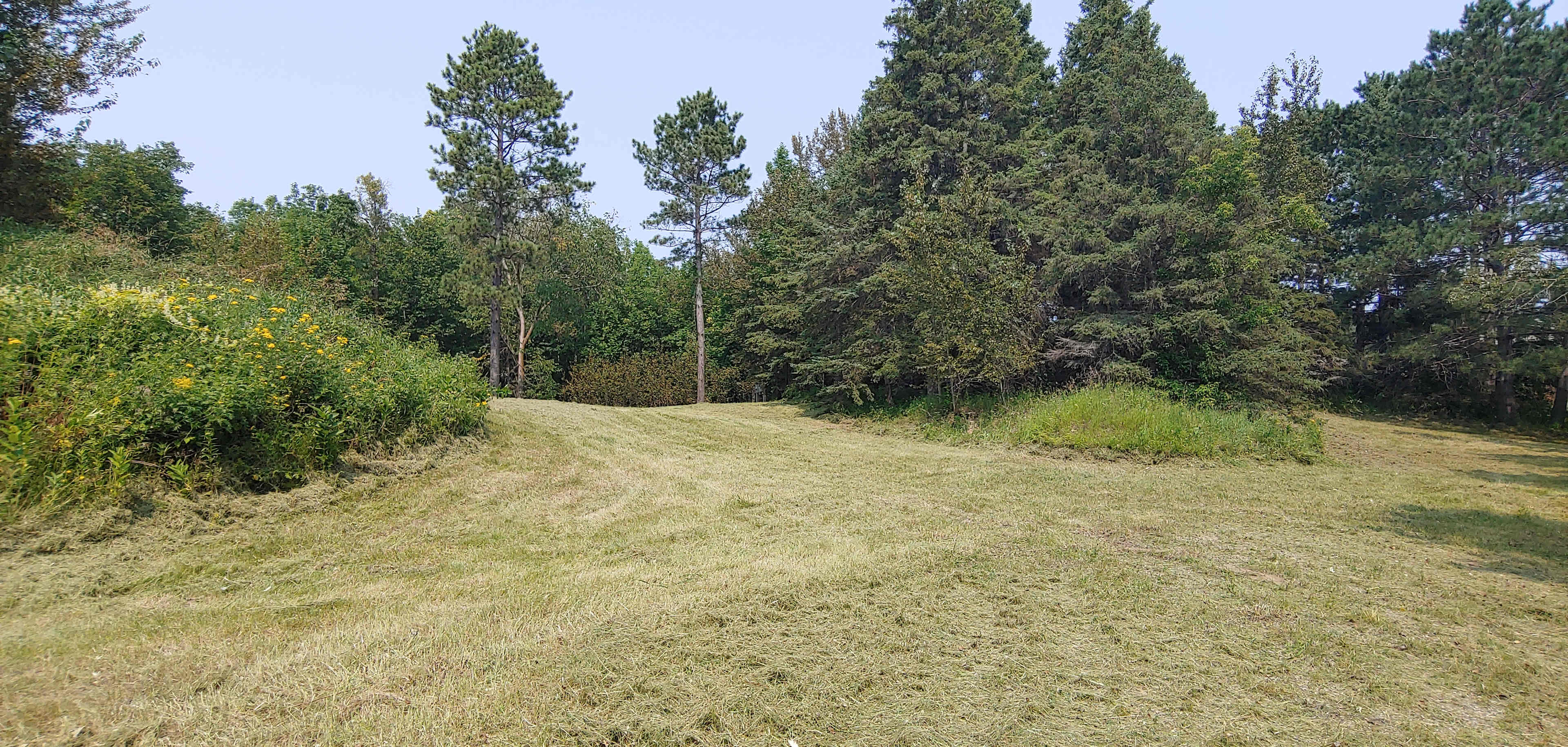 Crandall View