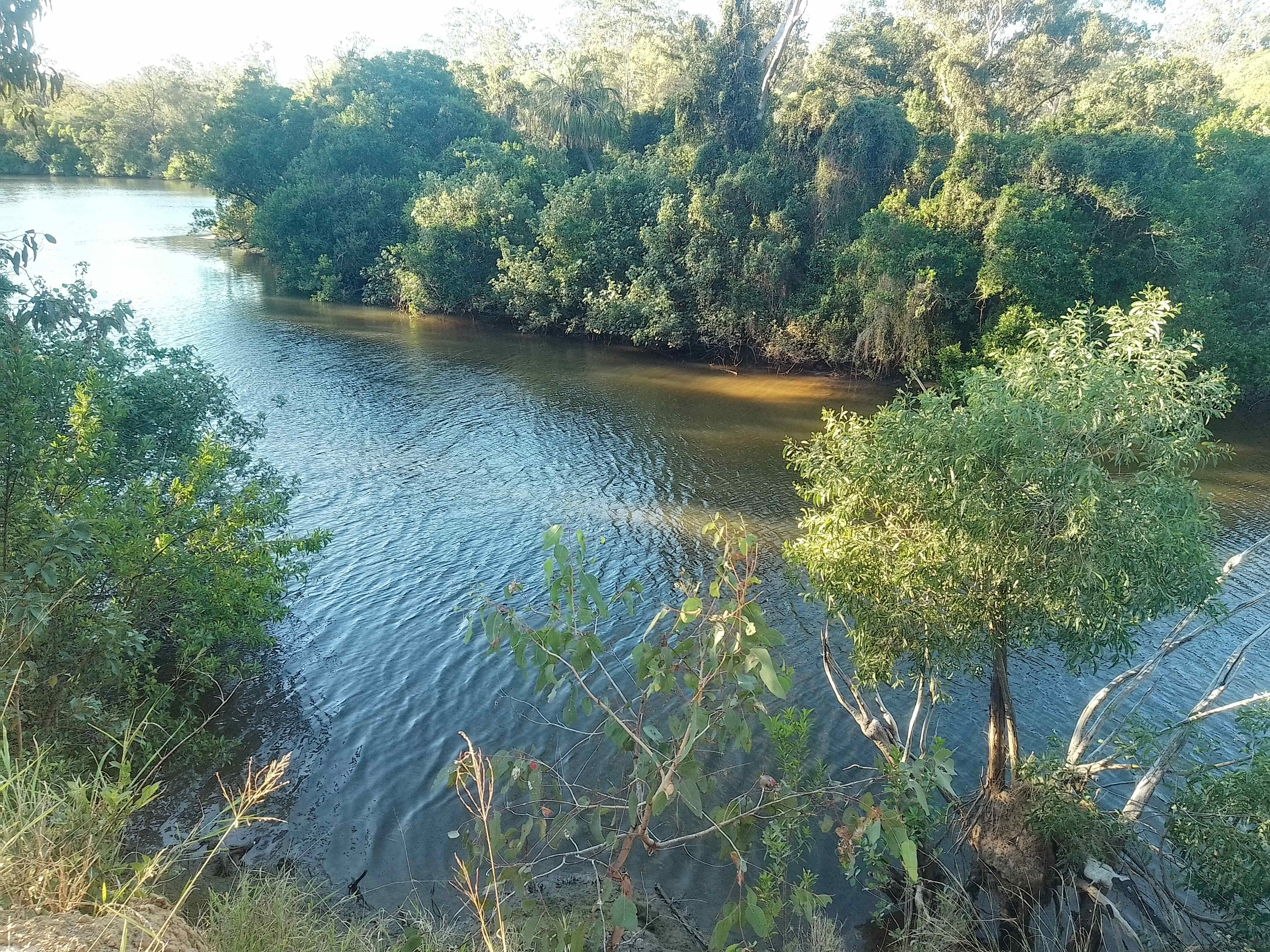 View of the creek  from camp site