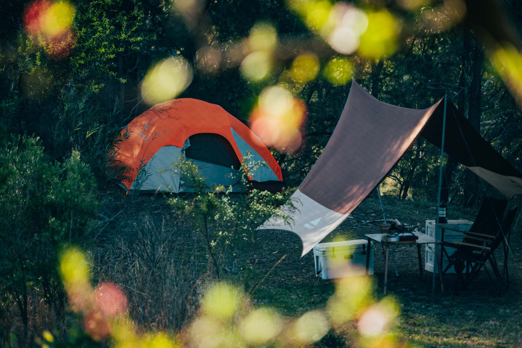 looking from orchard to the campsite