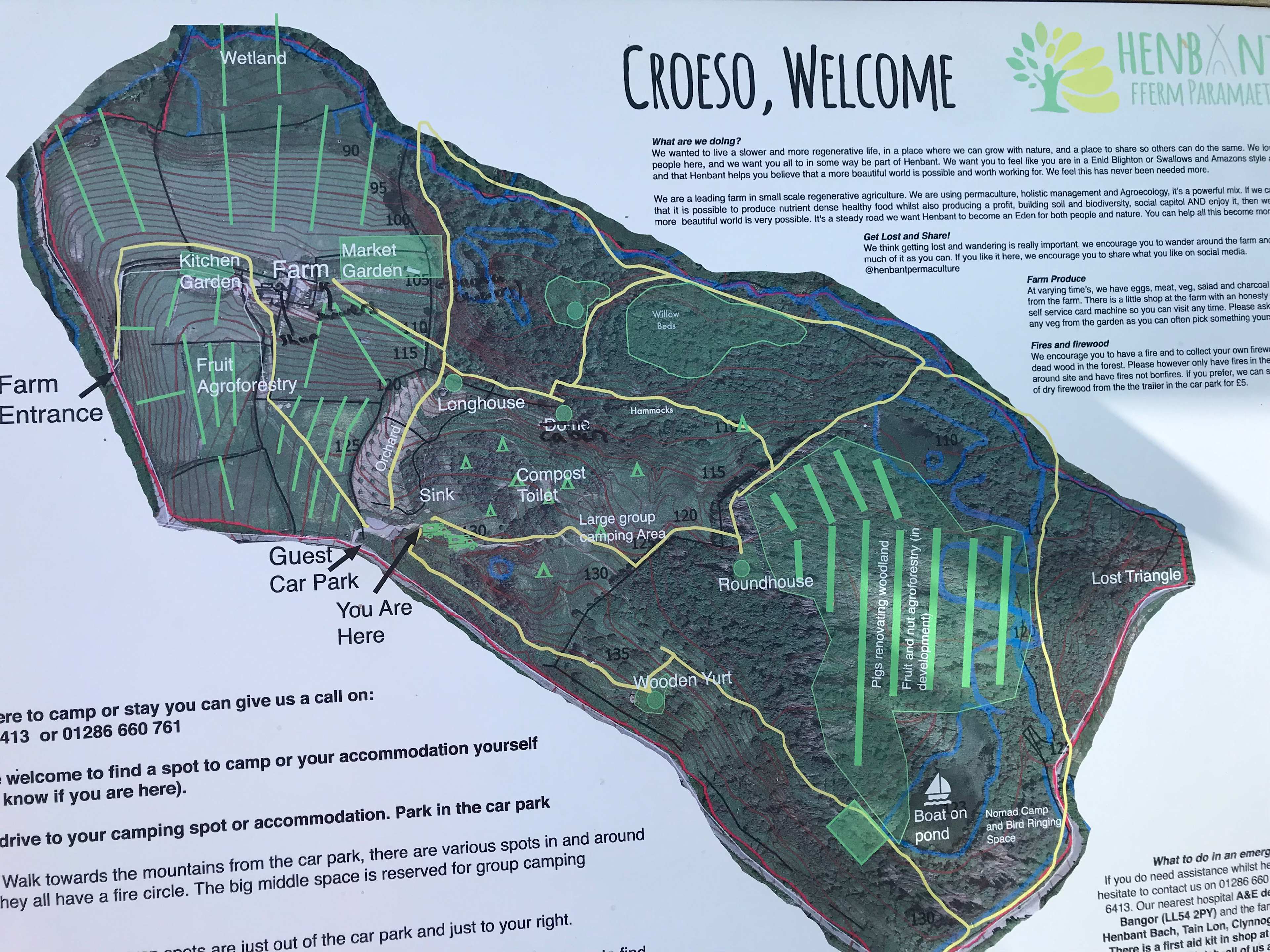 Picture of the site
