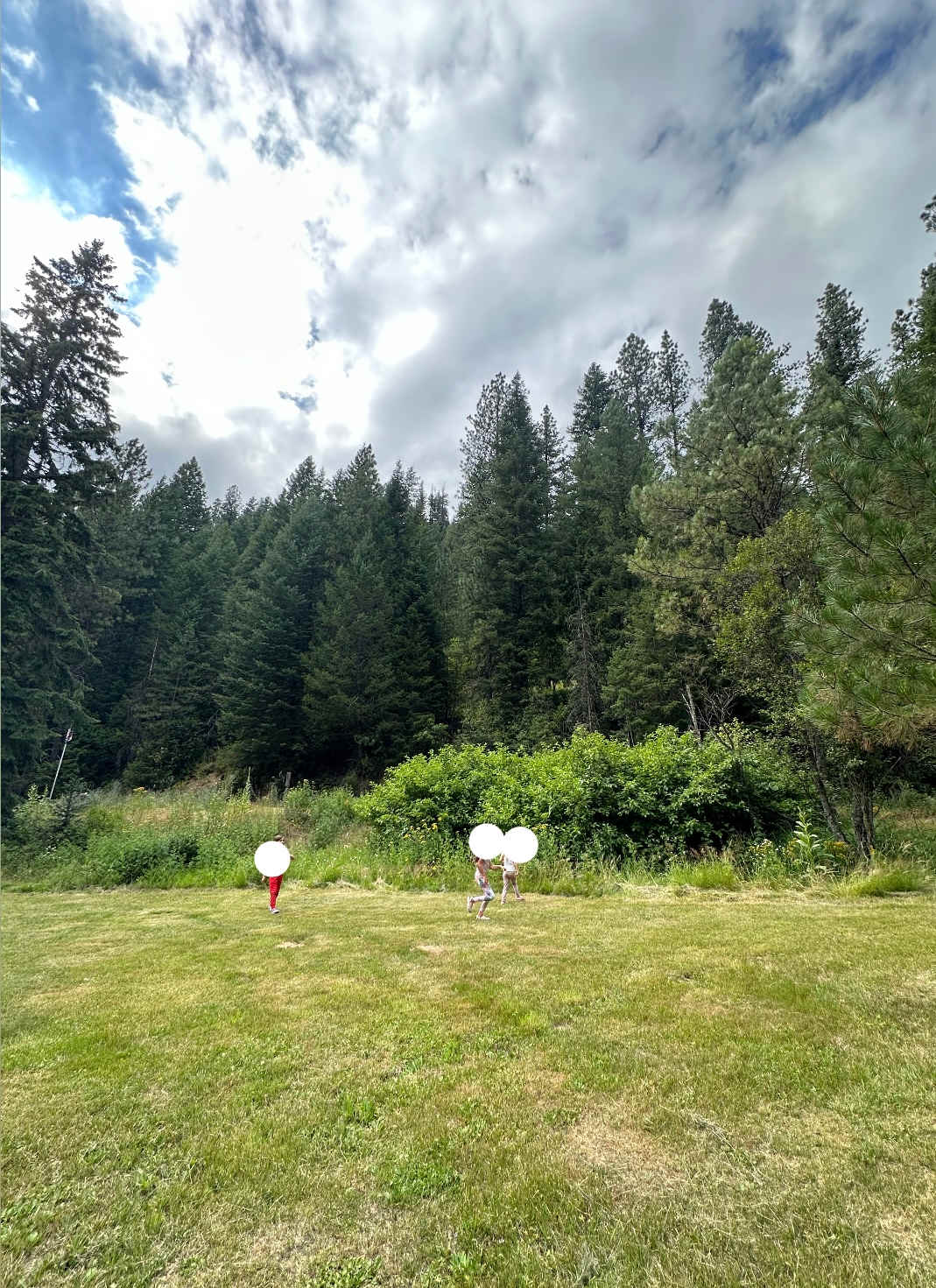 Great meadow to play tag or soccer in! 