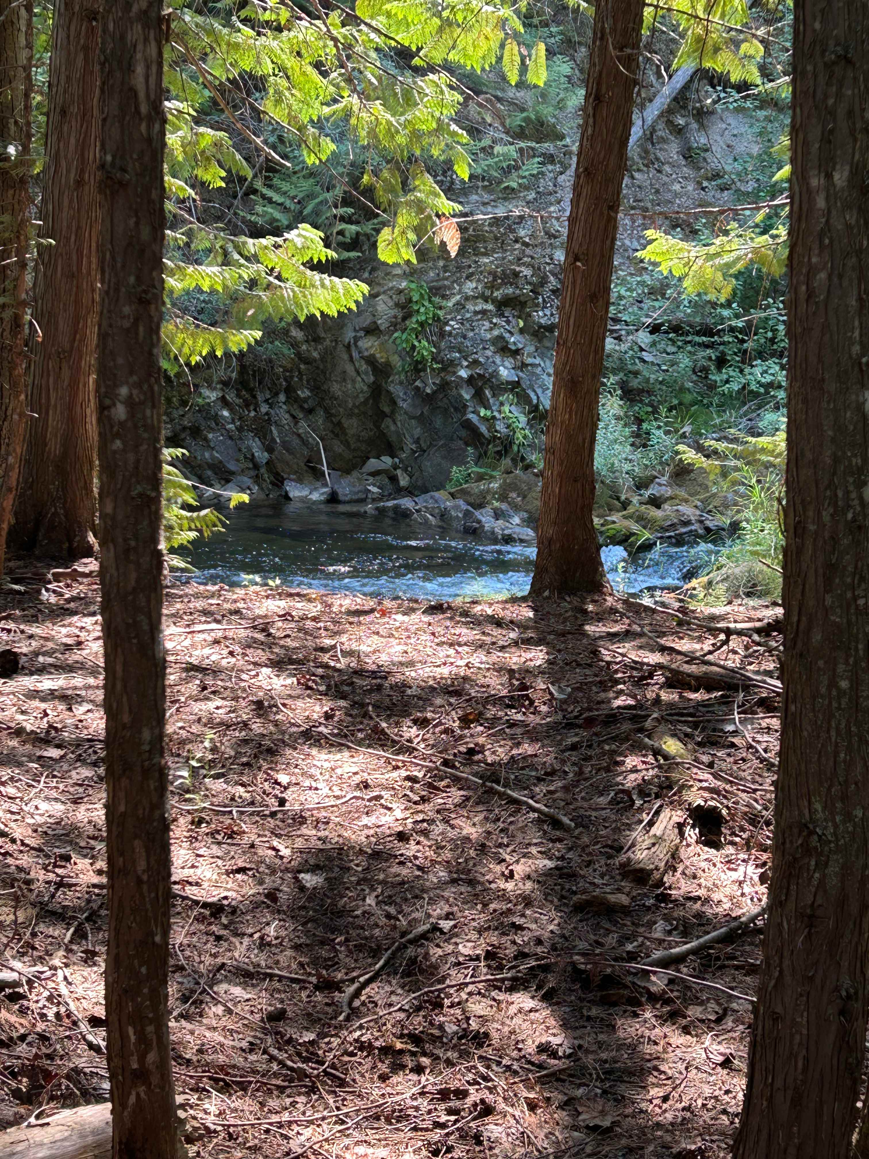 Good Creek Meadows