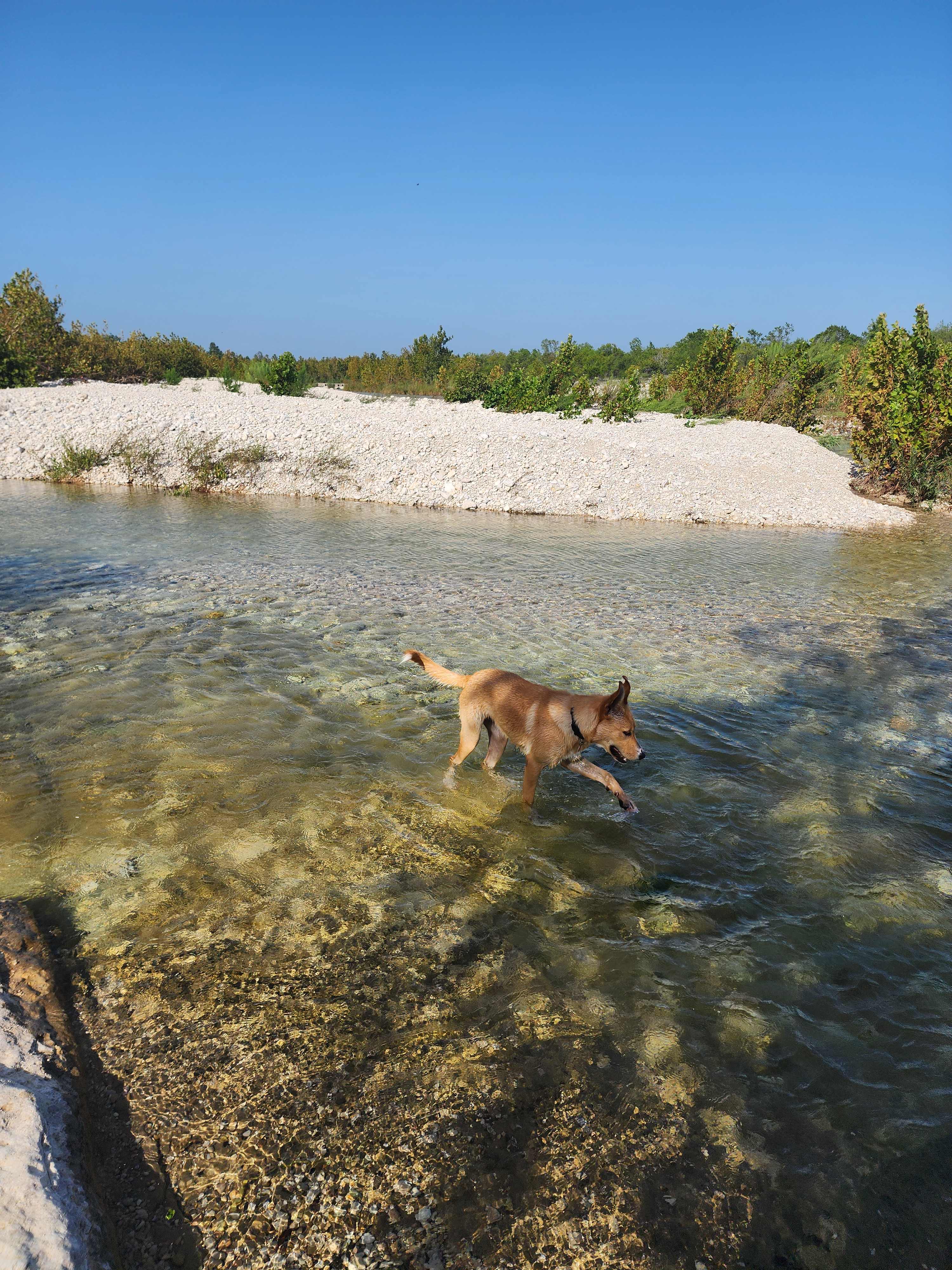 The Labyrinth, A Nueces River Oasis