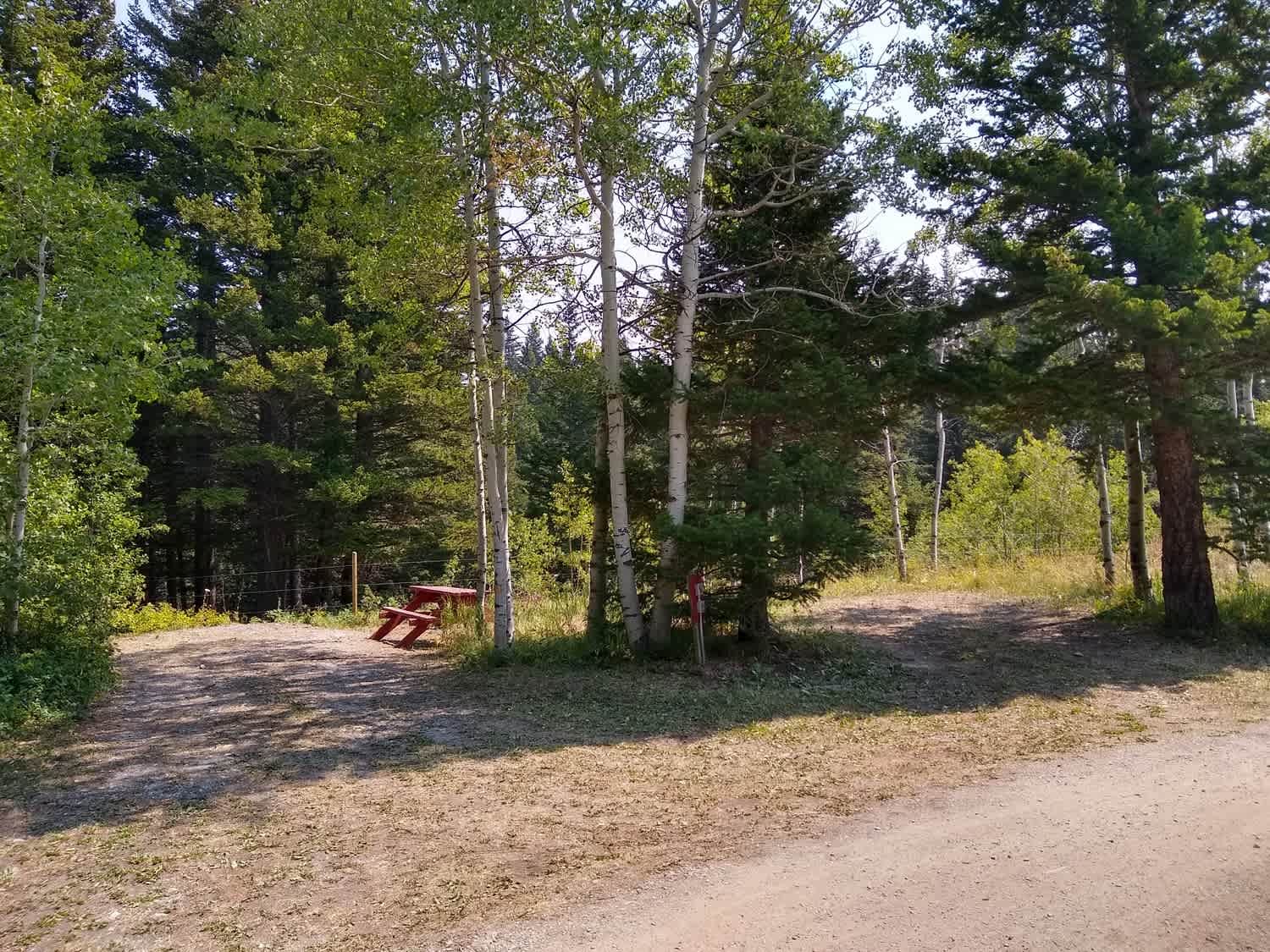 Leaning Tree Campground