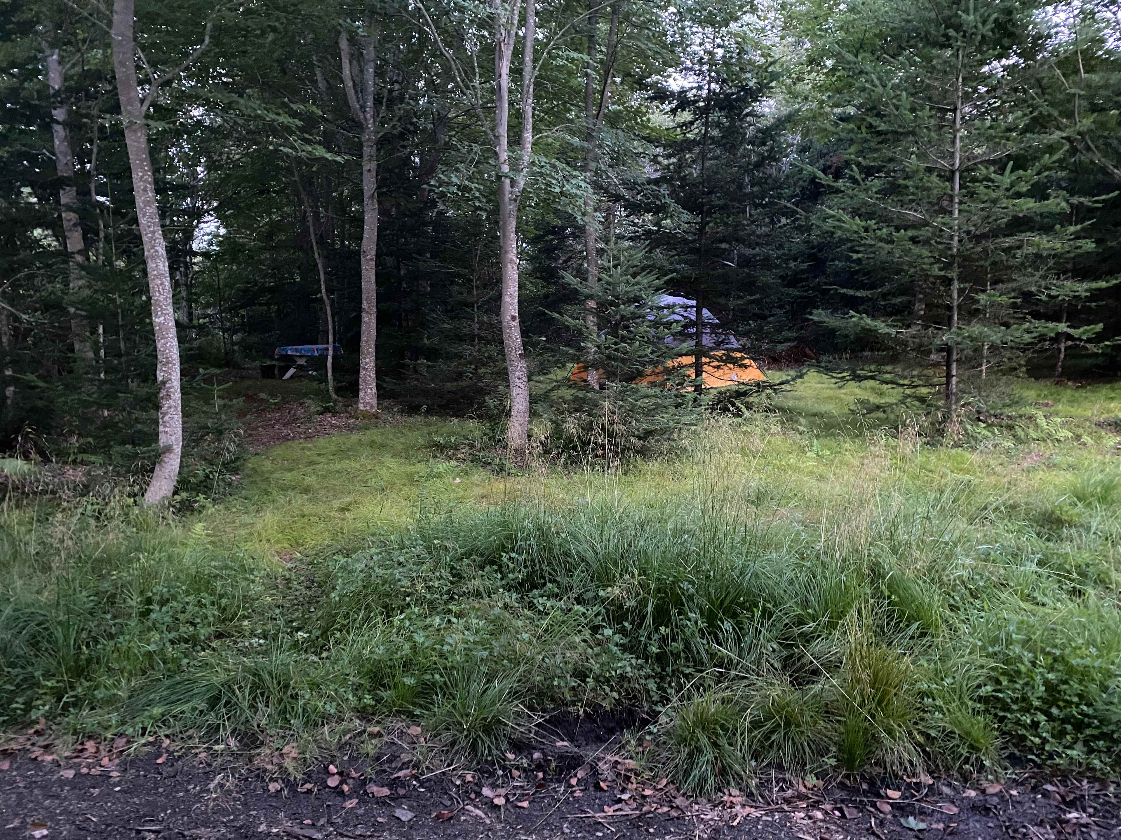 Picture of the site