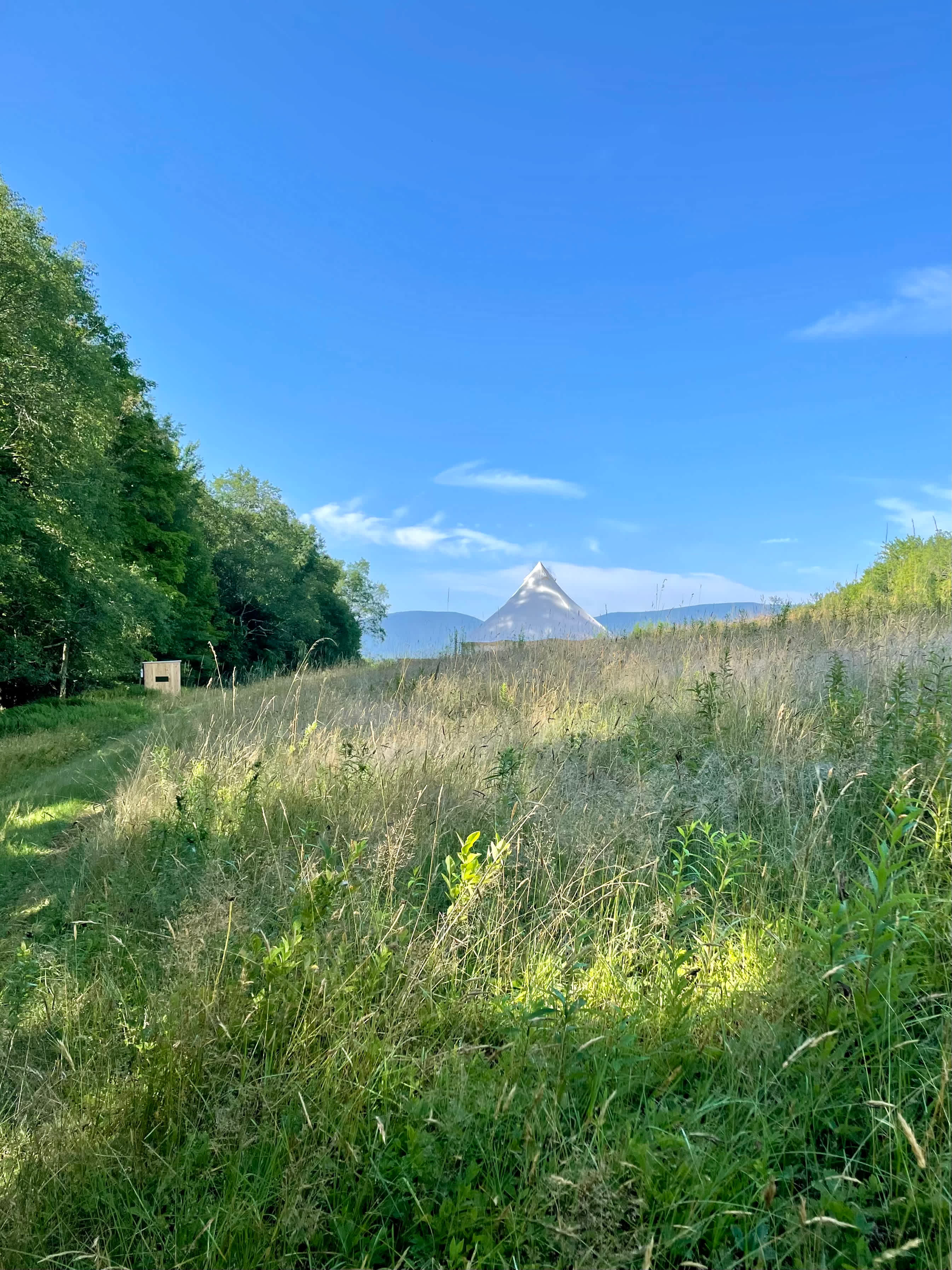 Bell-tent in Glamping and private off grid bathroom in Hengarth wildflower meadow.
