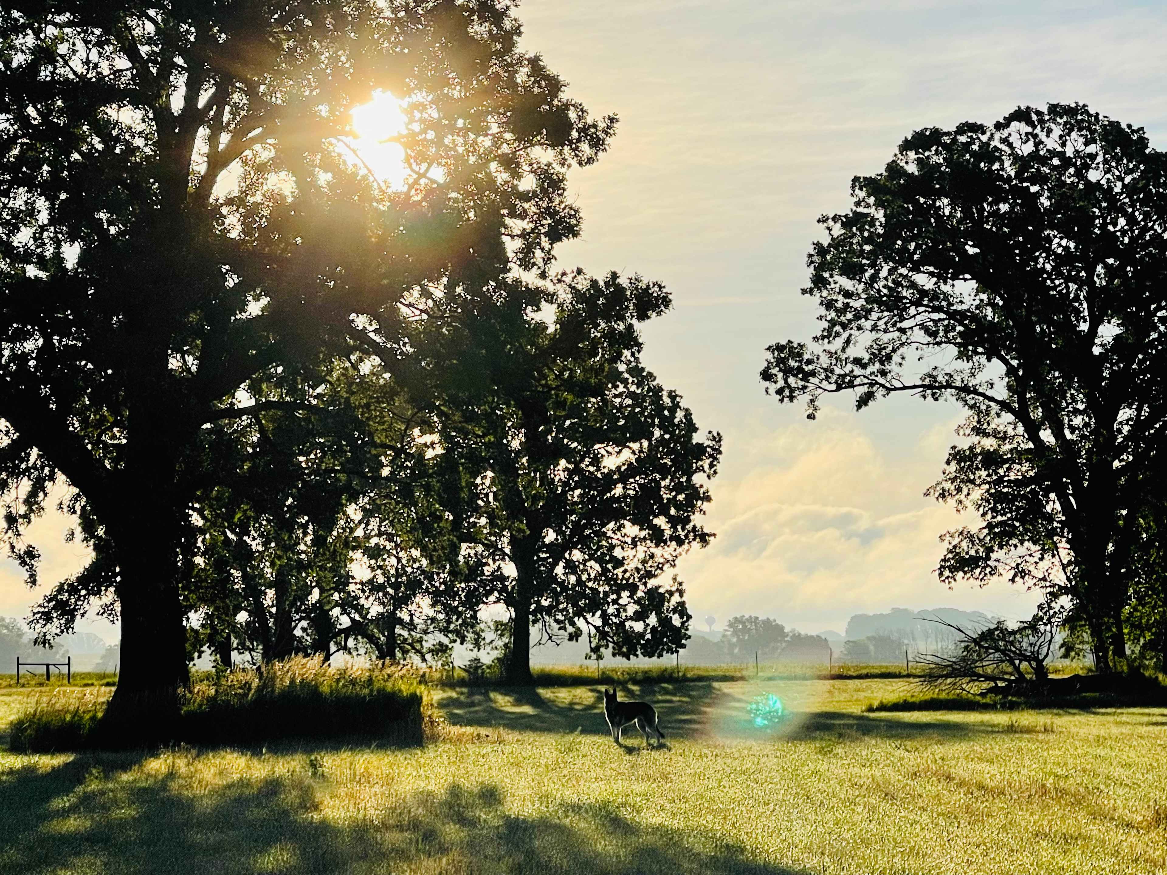 Tiger lake Ranch