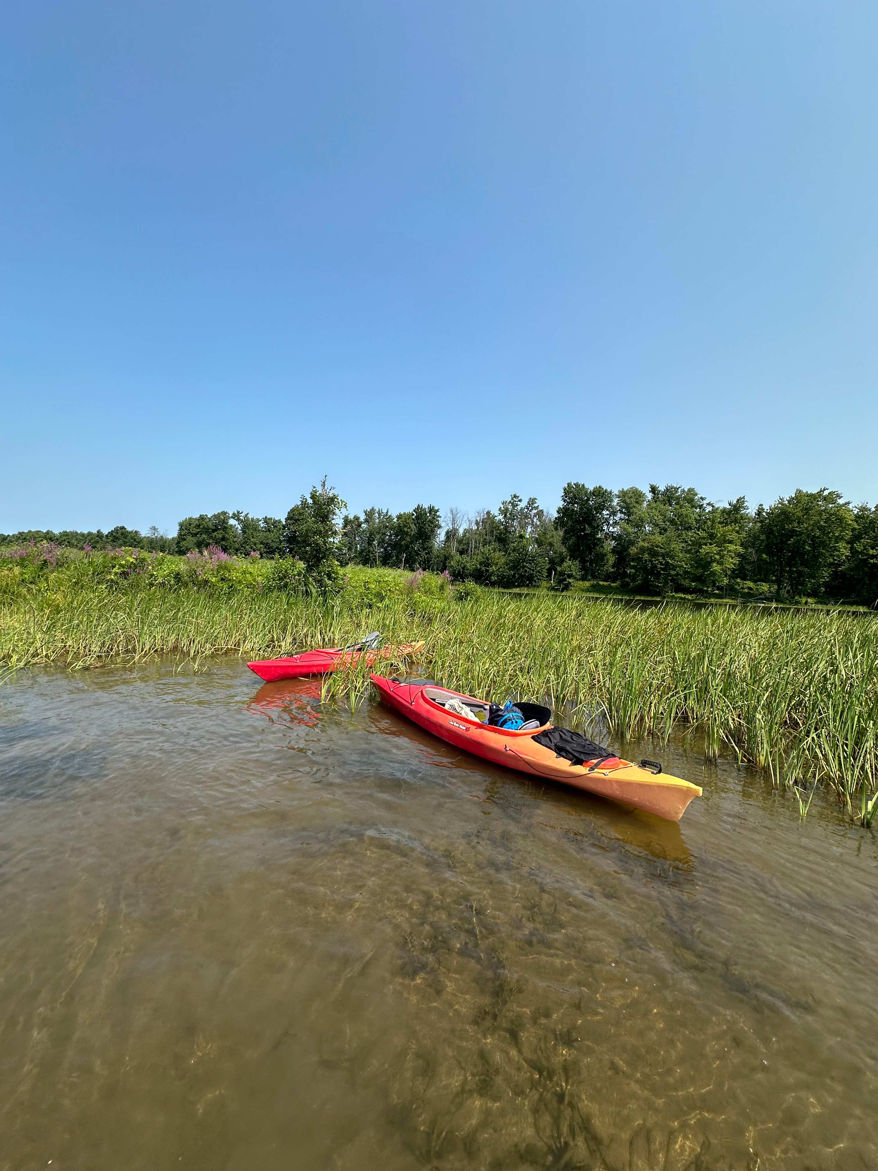 Kayaks, canoes and a paddle boat available to use