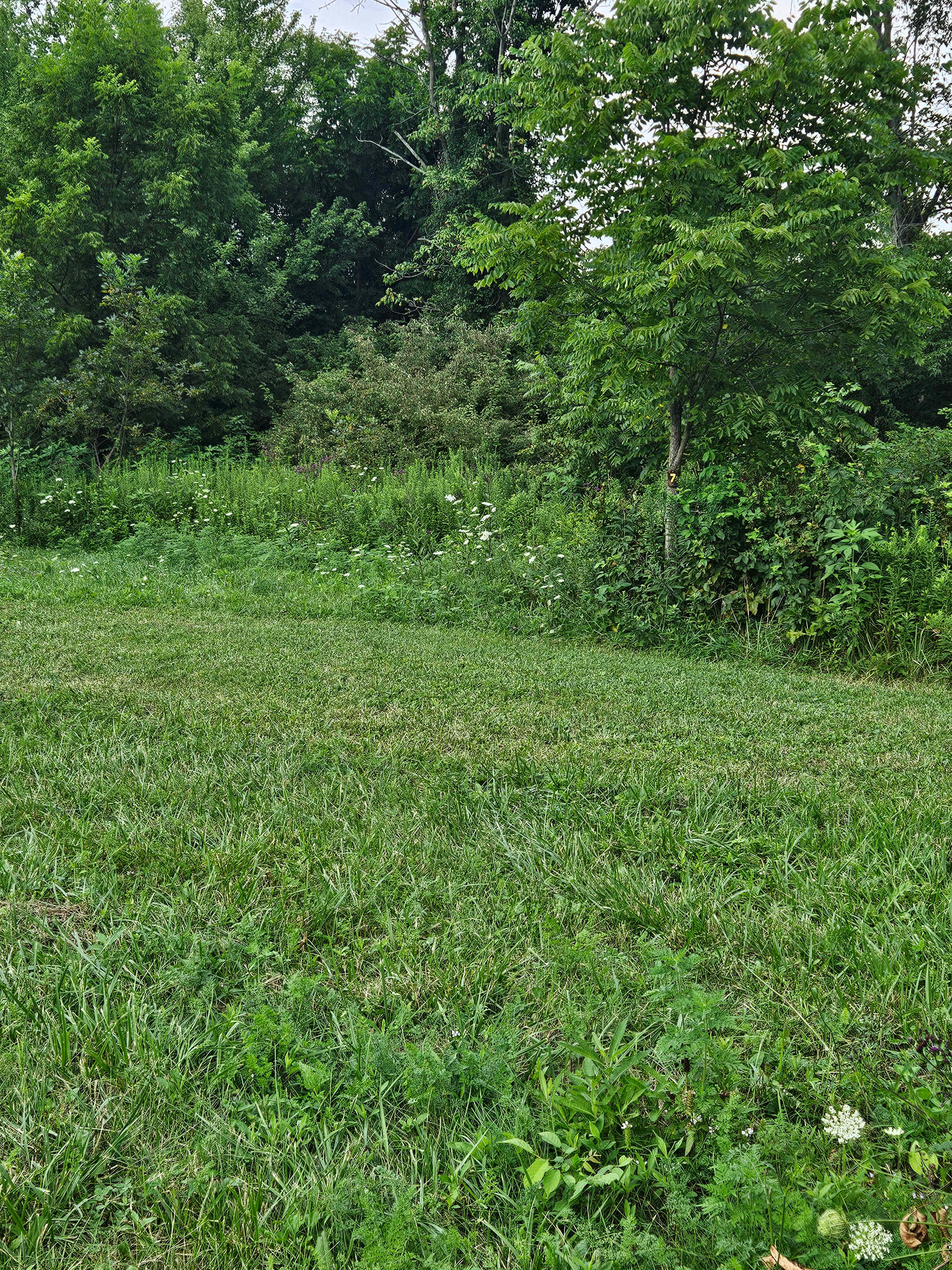 Sugar Maple Grove Campground