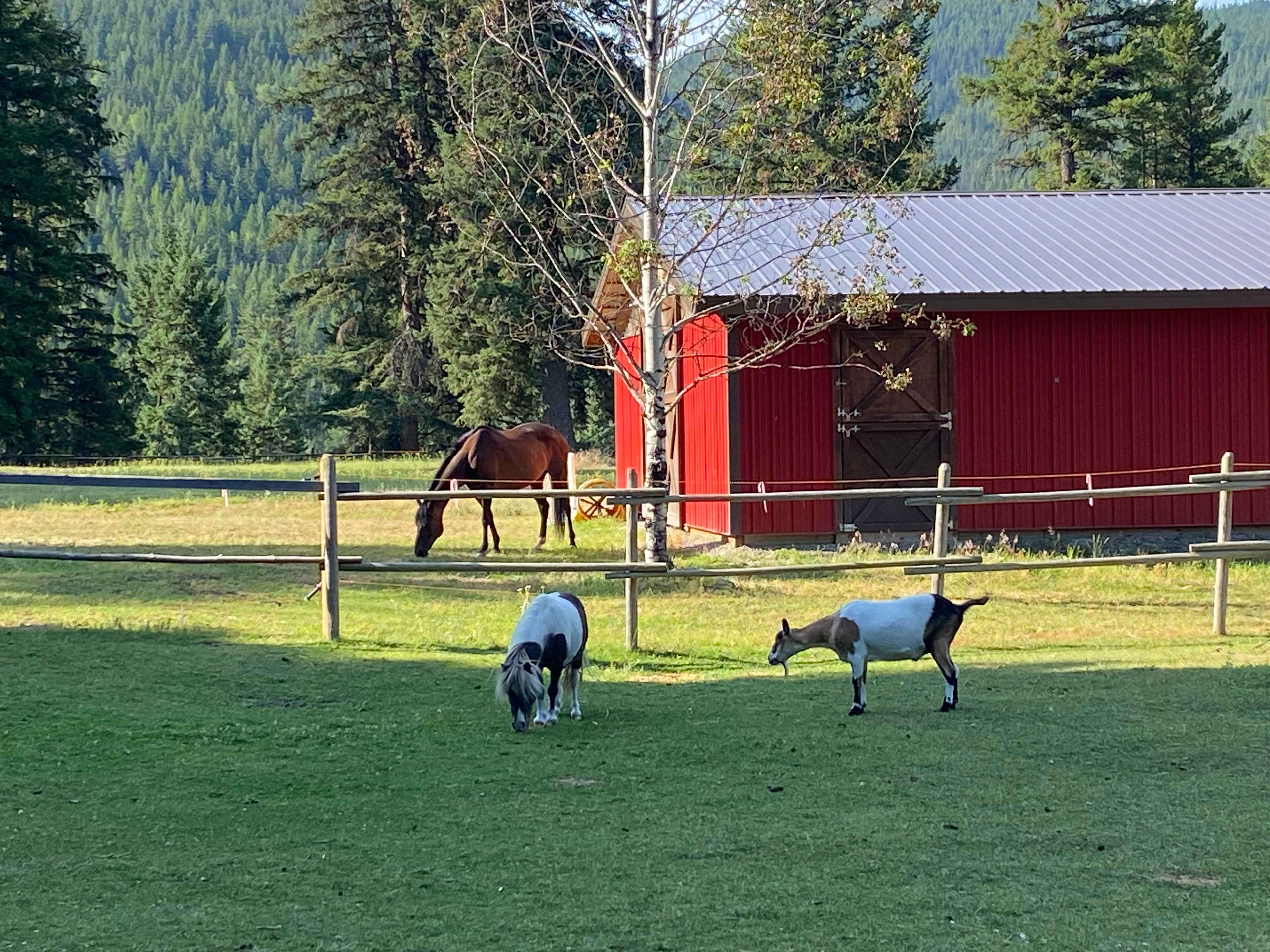 Tamarack Hill Farm