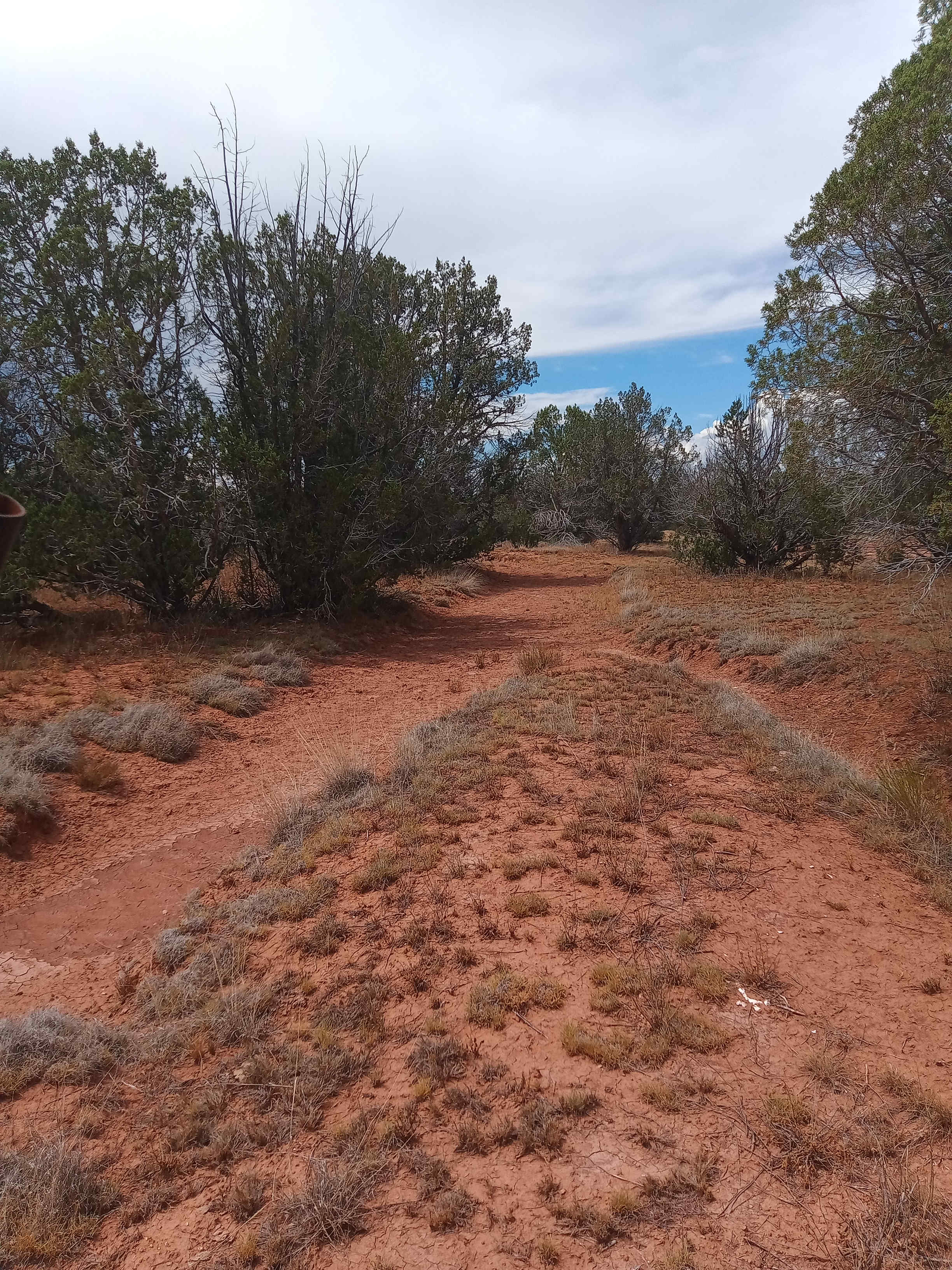 Broken bolt ranch