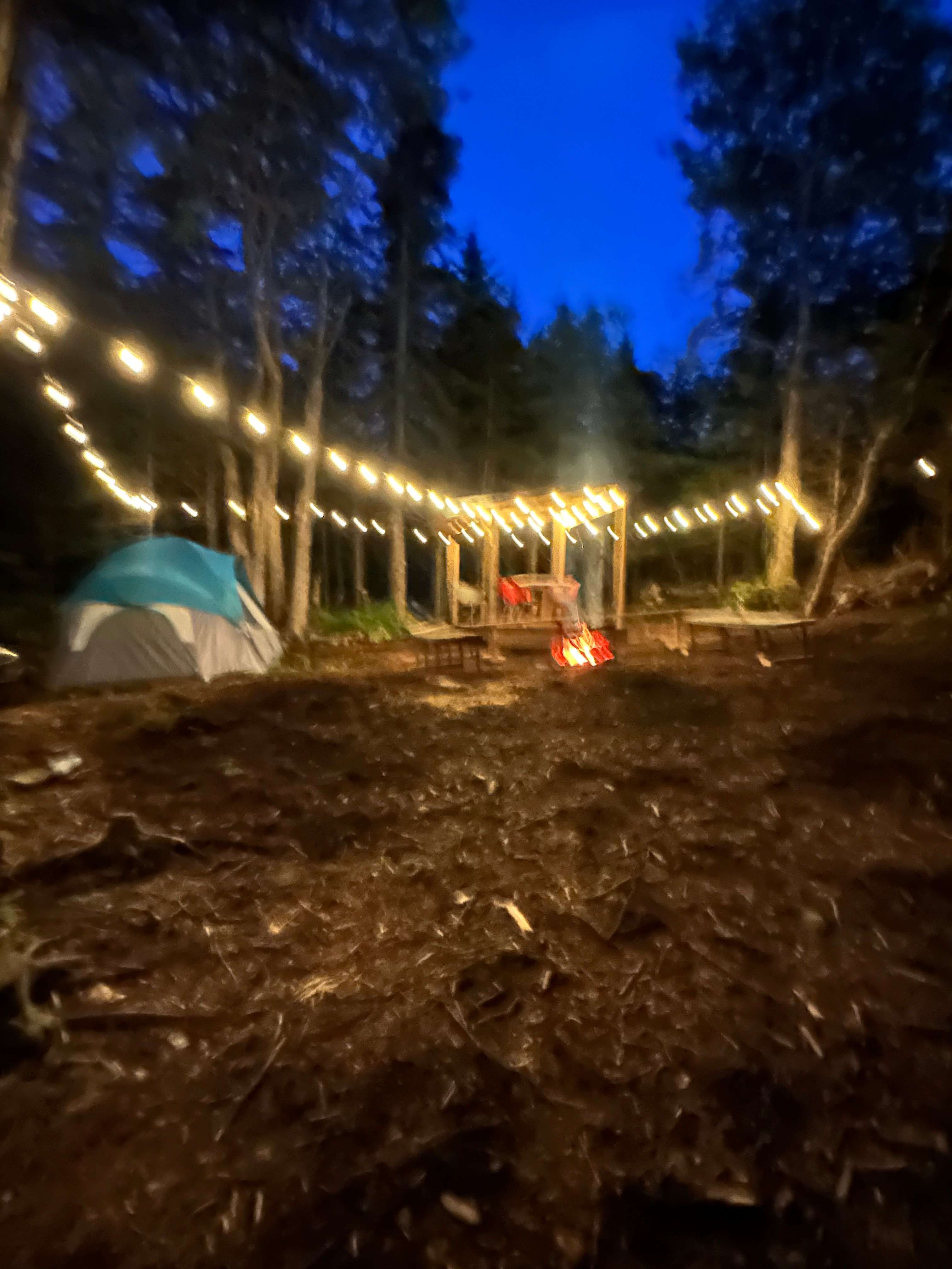 Urban Forest Getaway