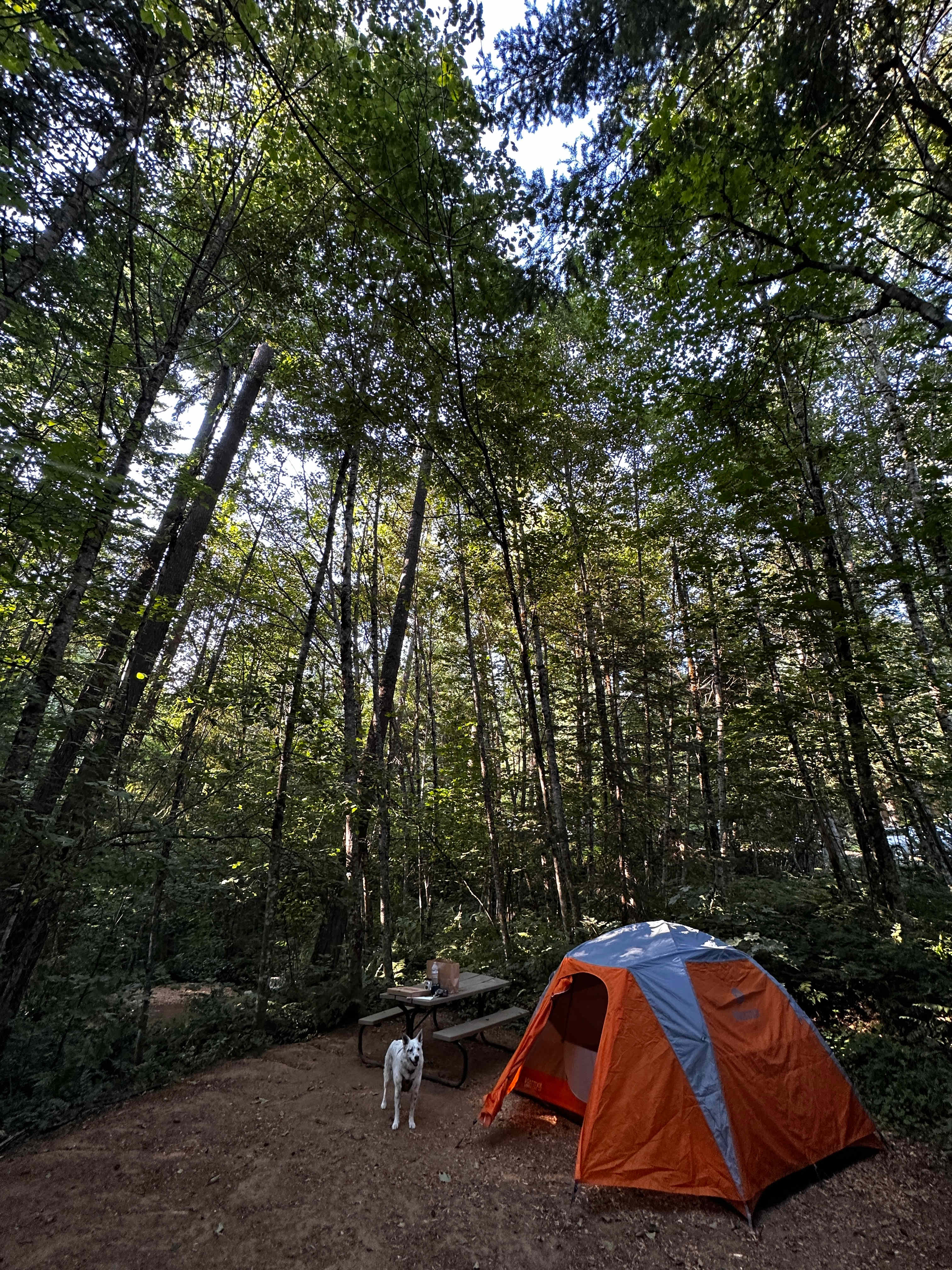 Picture of the site