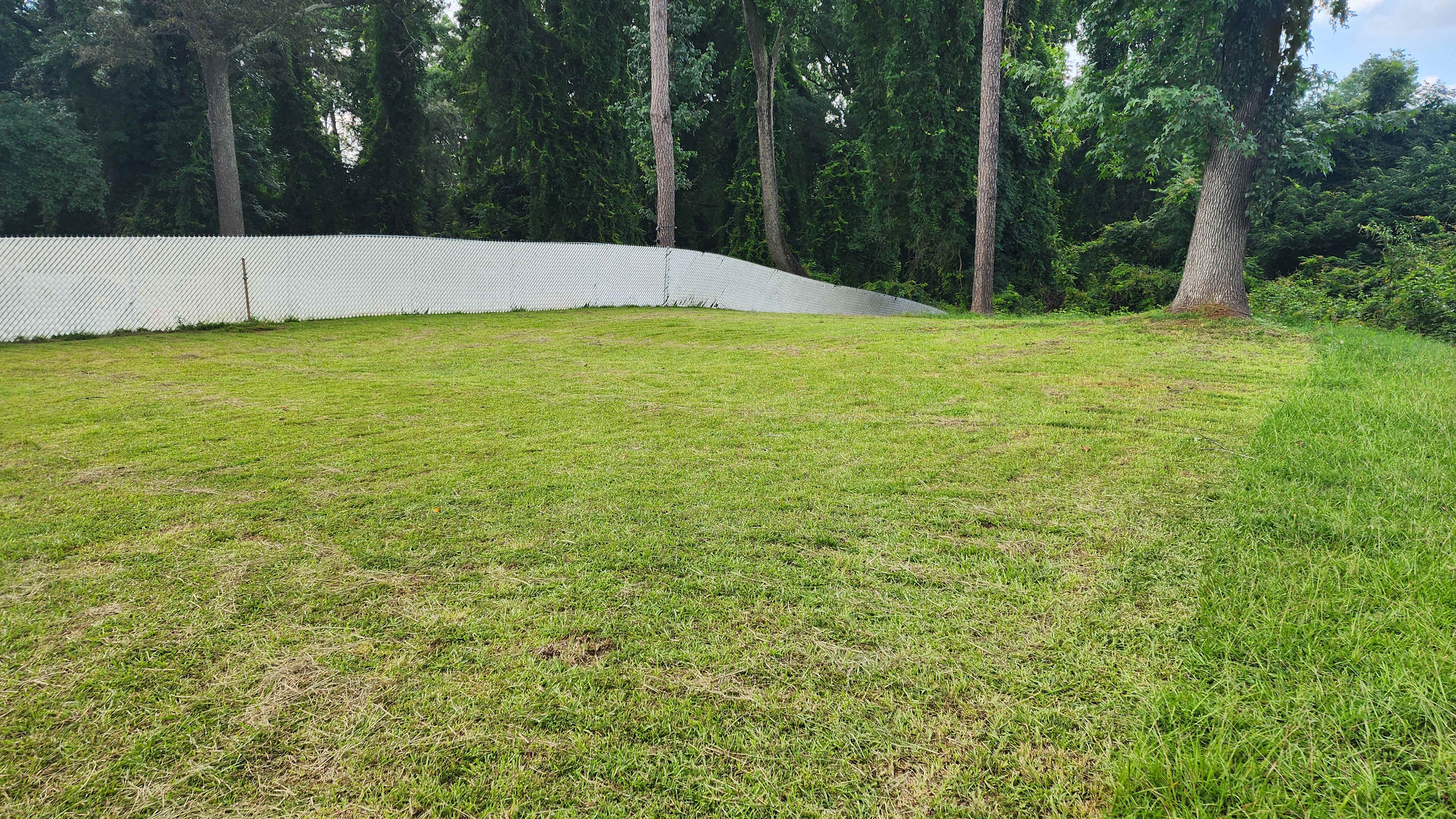 The back yard.