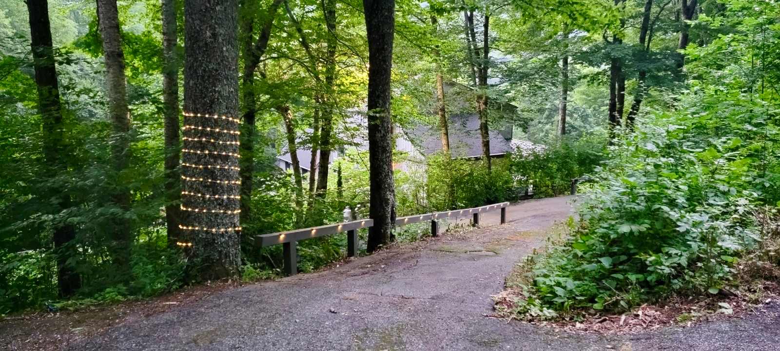 Mountain Haven