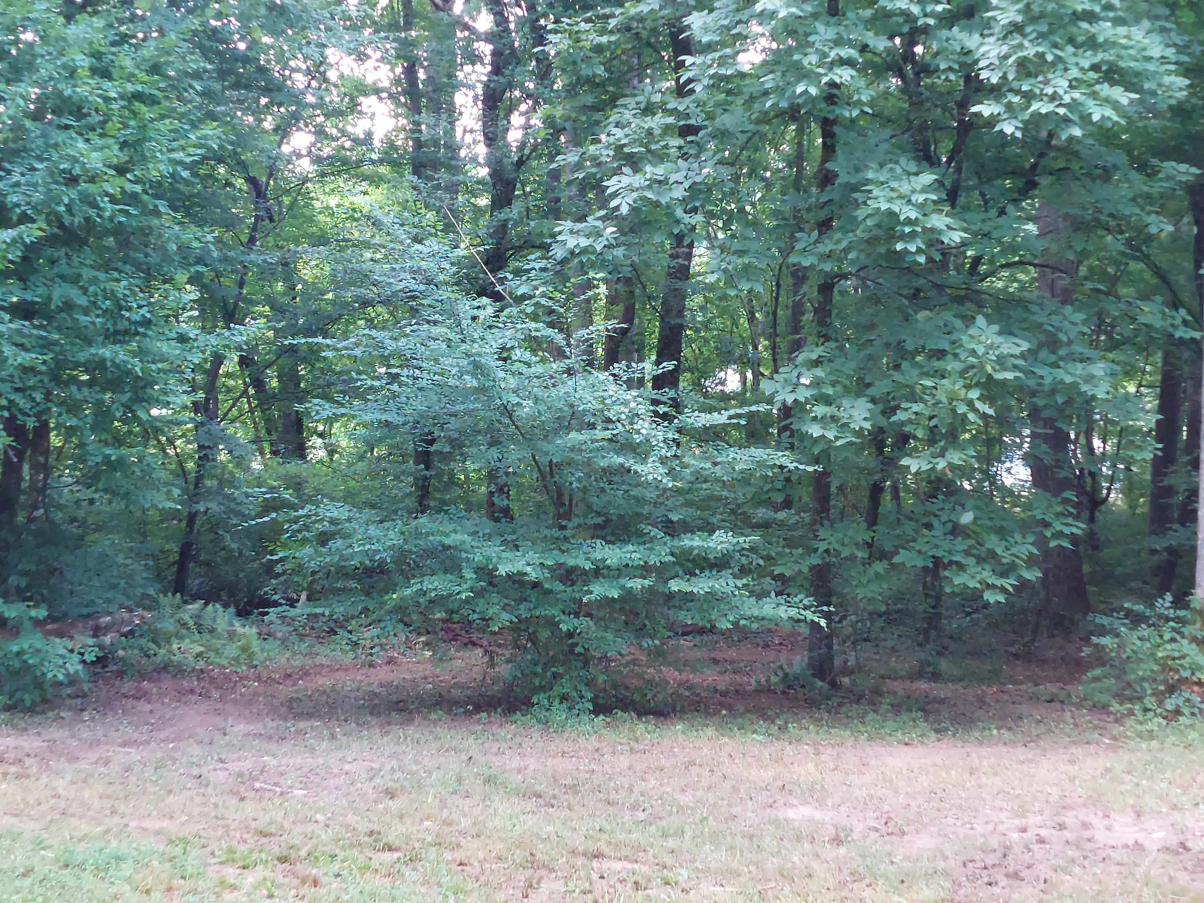 Oak Leaf Hills
