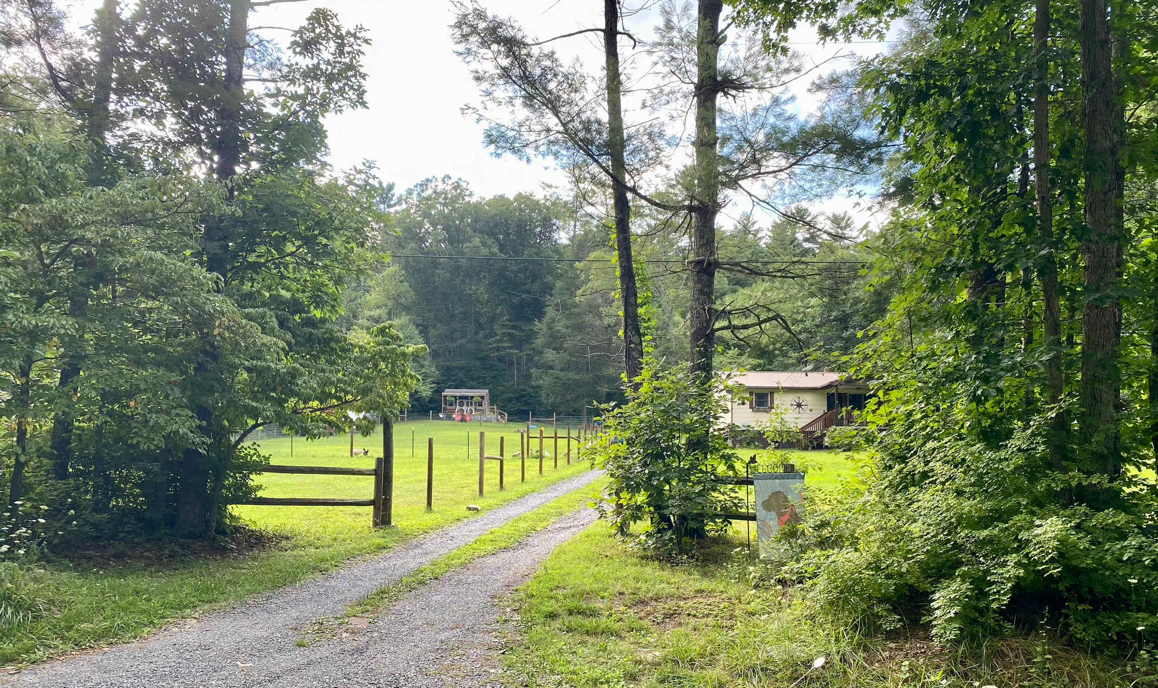 Black Dog Farm