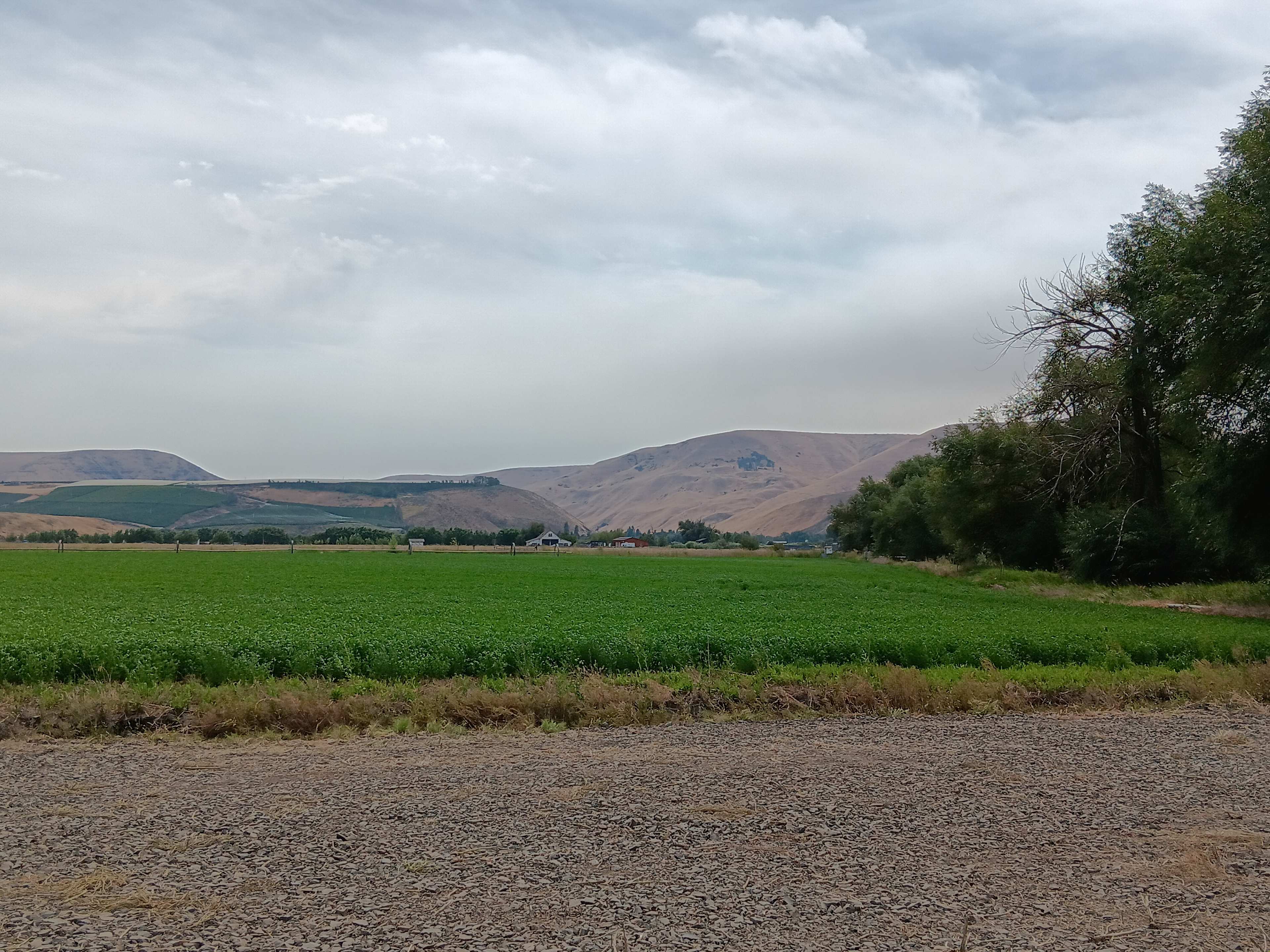 The Hay Farm