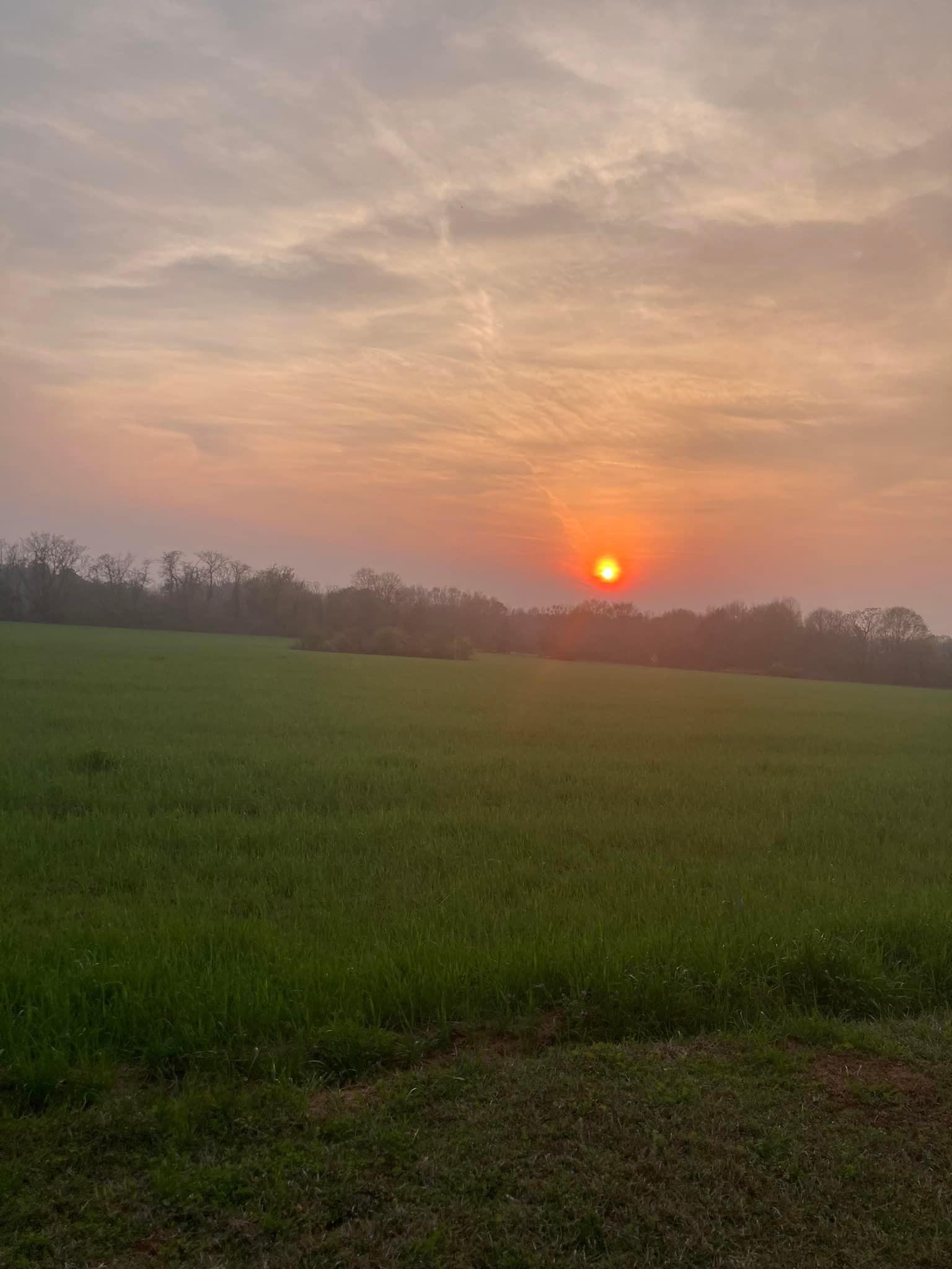 The sunsets on the property are the best. If you are lucky, you will see one just like this!