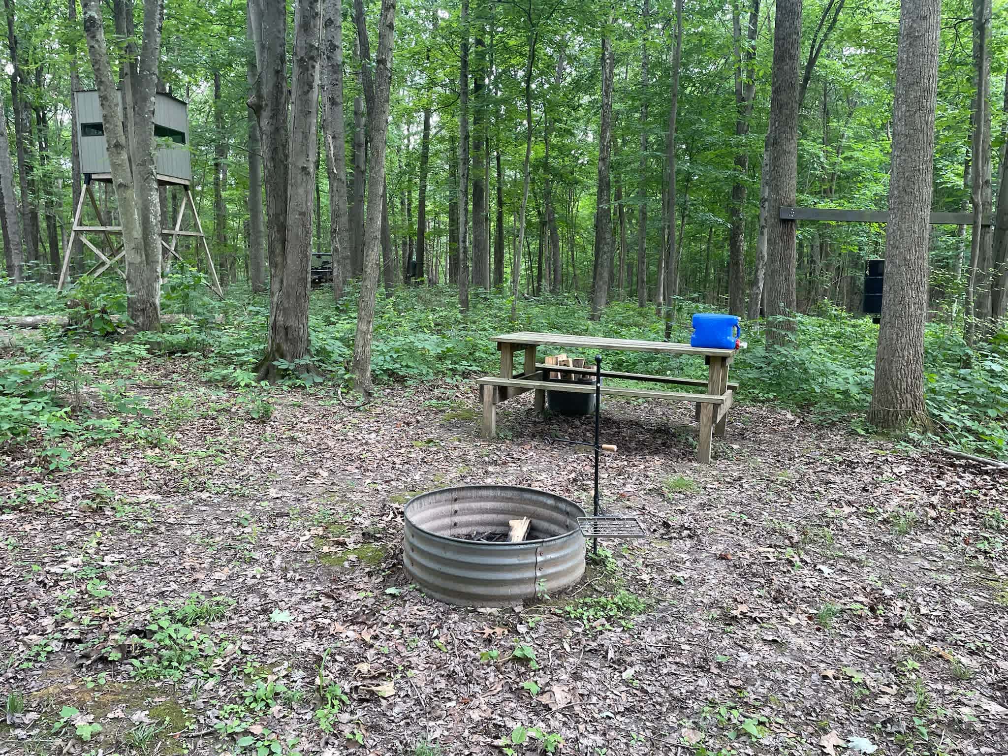 Picture of the site
