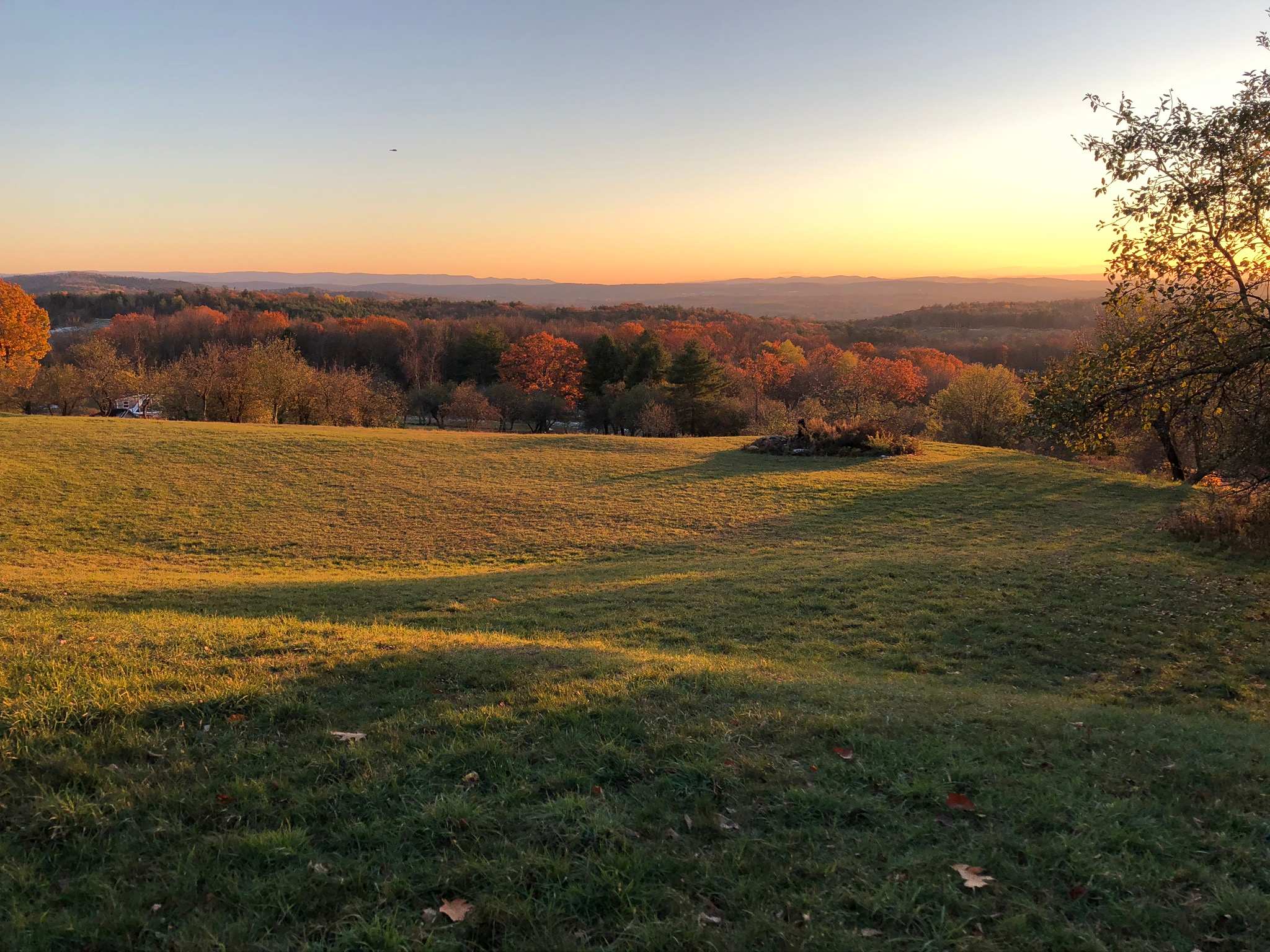 The Views at Oak Hill