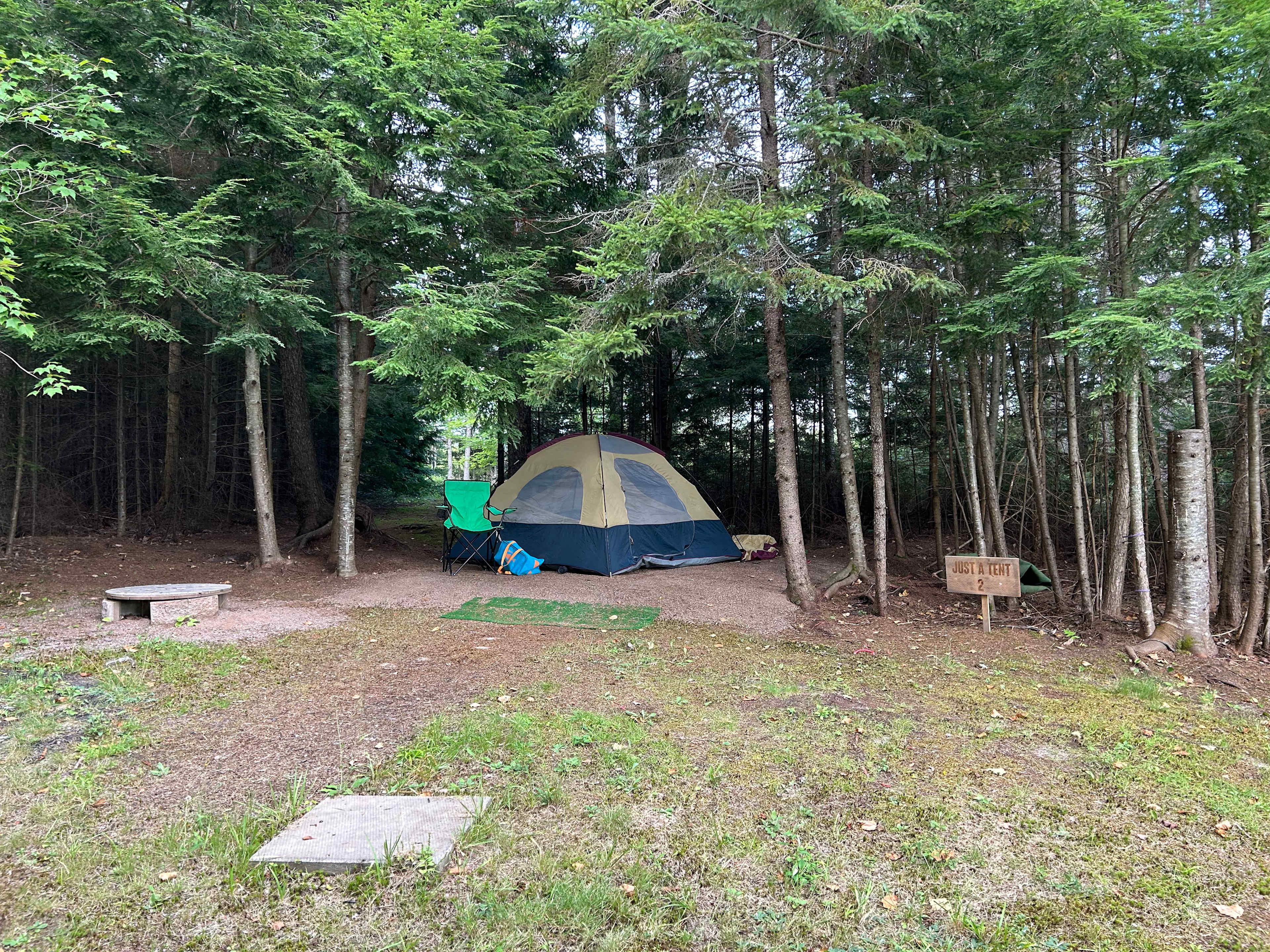 Picture of the site