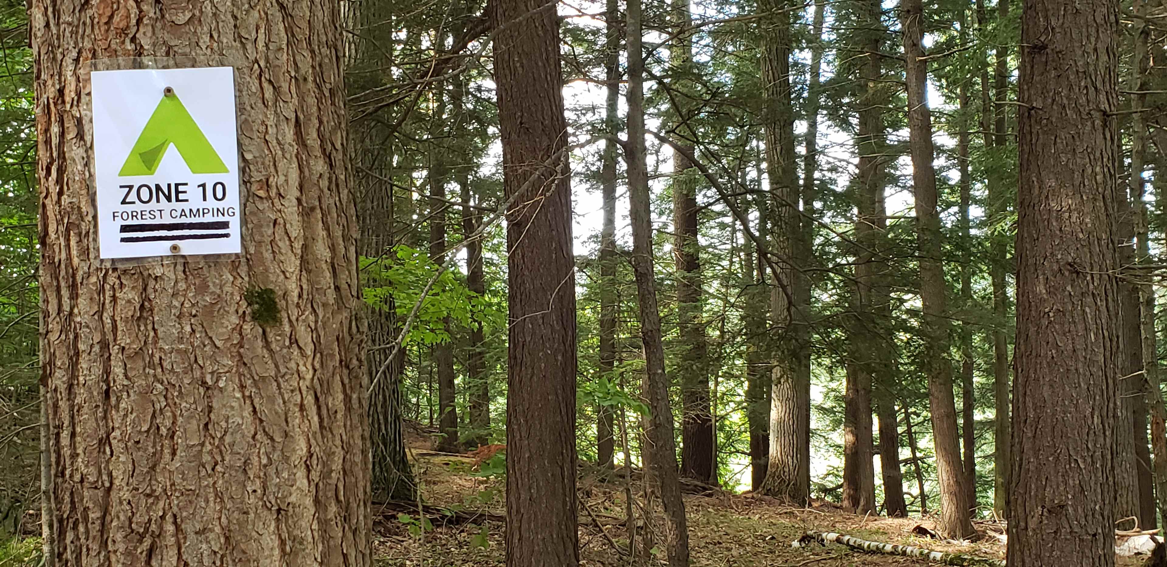 Zone 10- - Forest Floor Camp