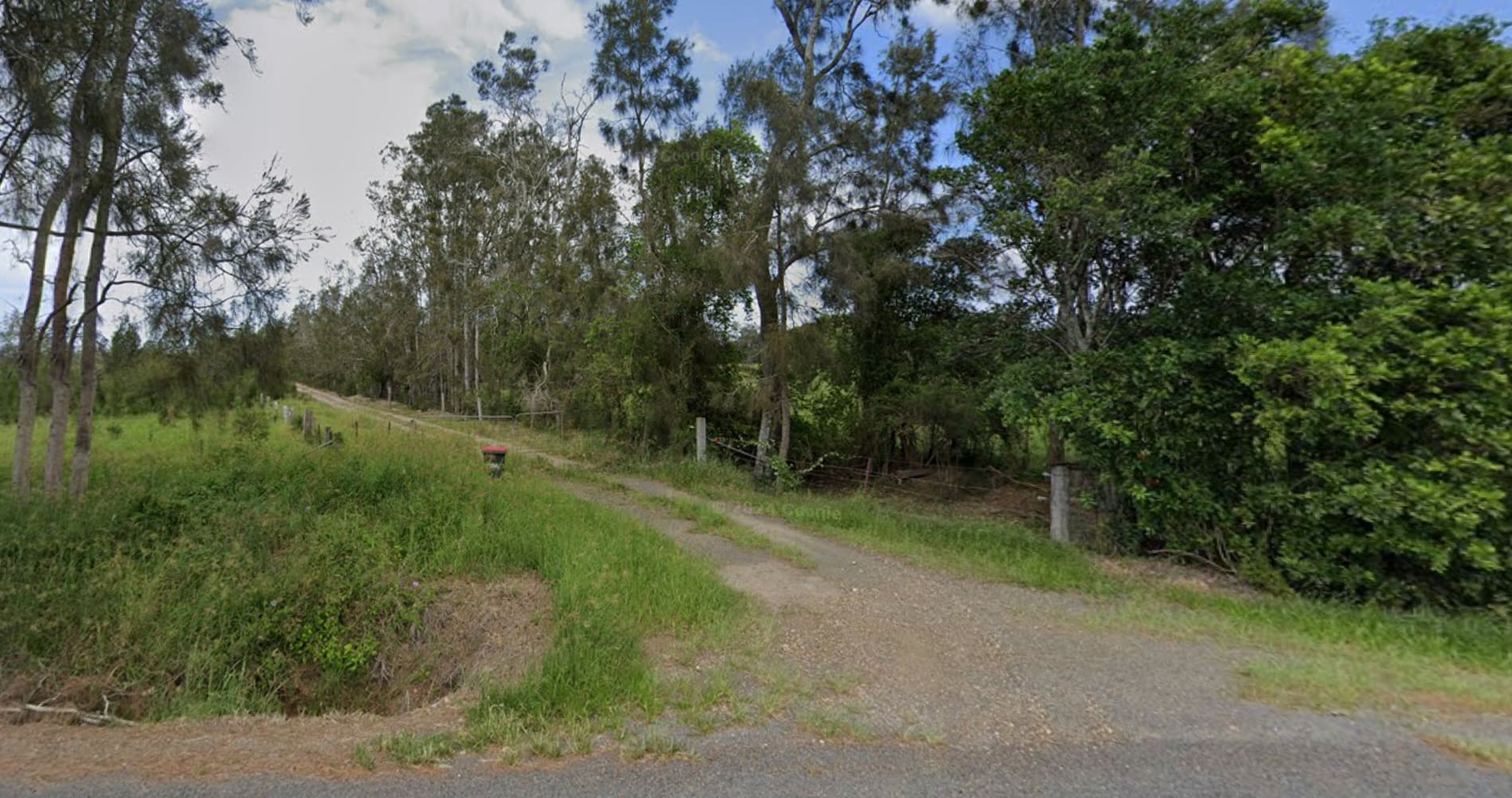 Youngster’s Paddock